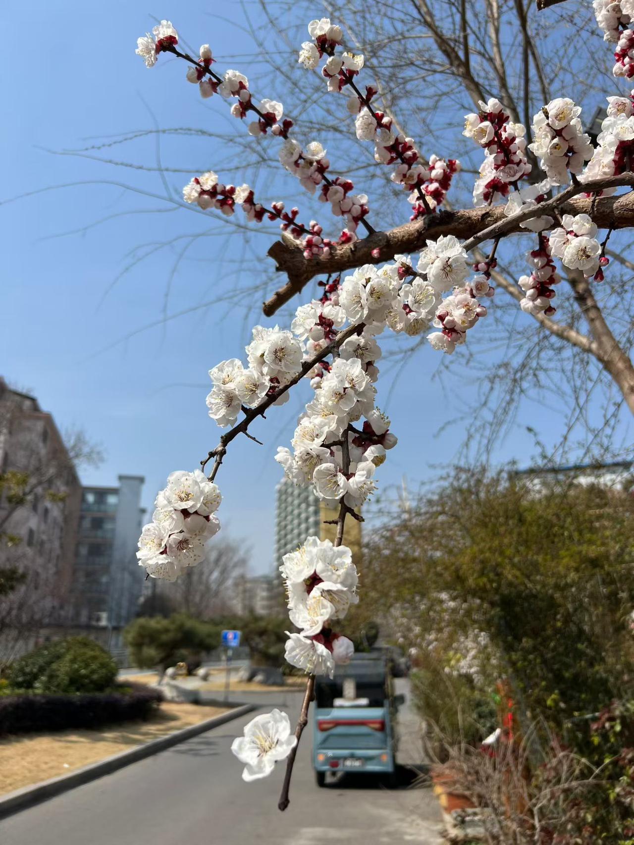 酒醉子时忘归家，涑堤小径自来斜。
​白头渔翁枕棹睡，晨起船头拾落花。
     