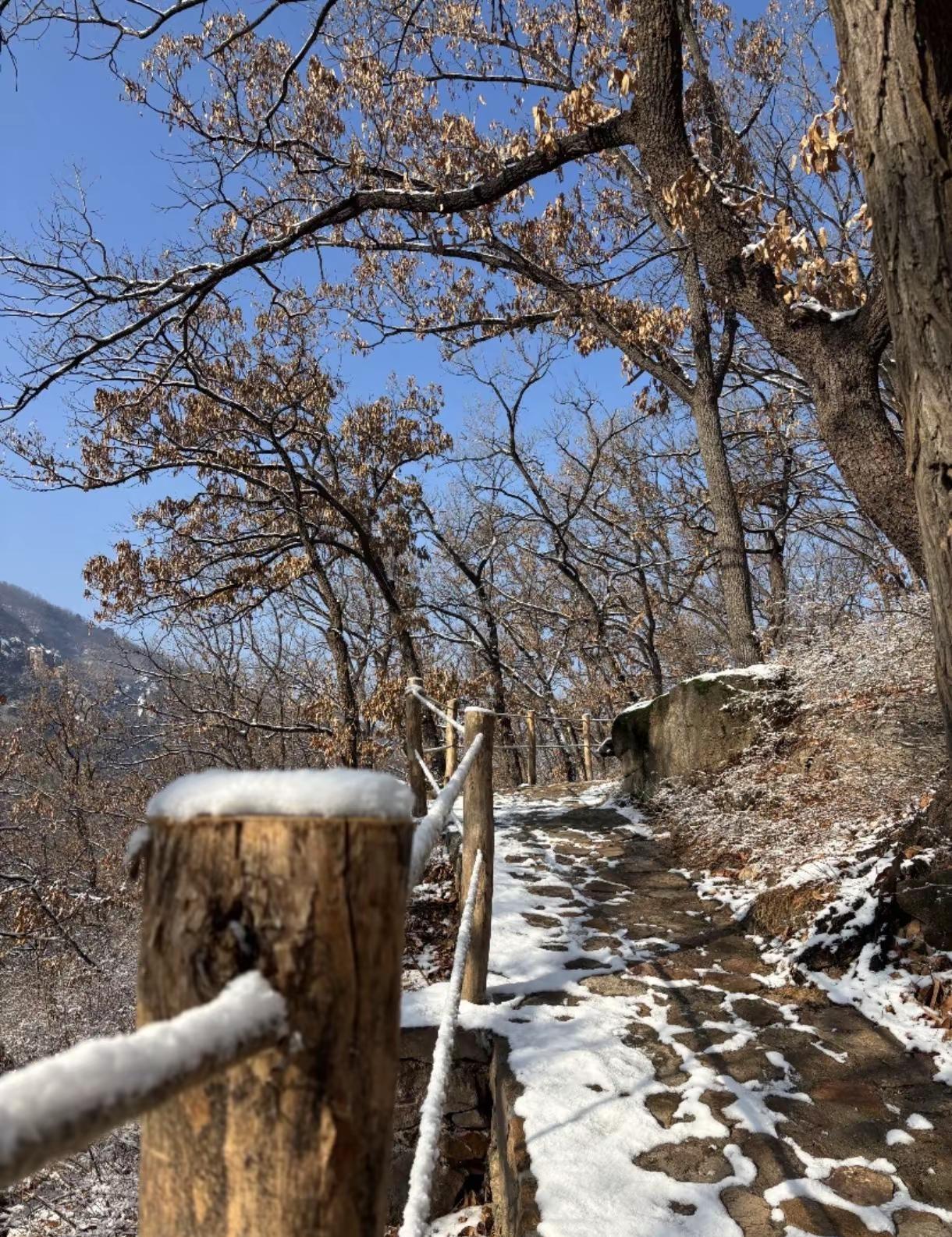 鲁山国家森林公园 鲁山国家森林公园鲁山国家森林公园爬山推荐