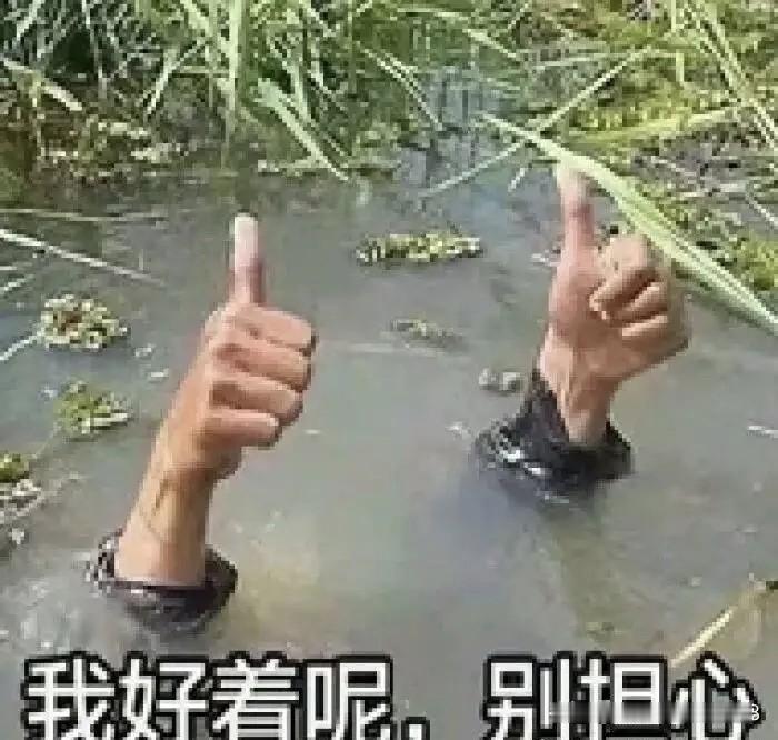 就算在外面过的再不好，给父母打话的时候也说自己过的很好。大多数人给父母打电话都是