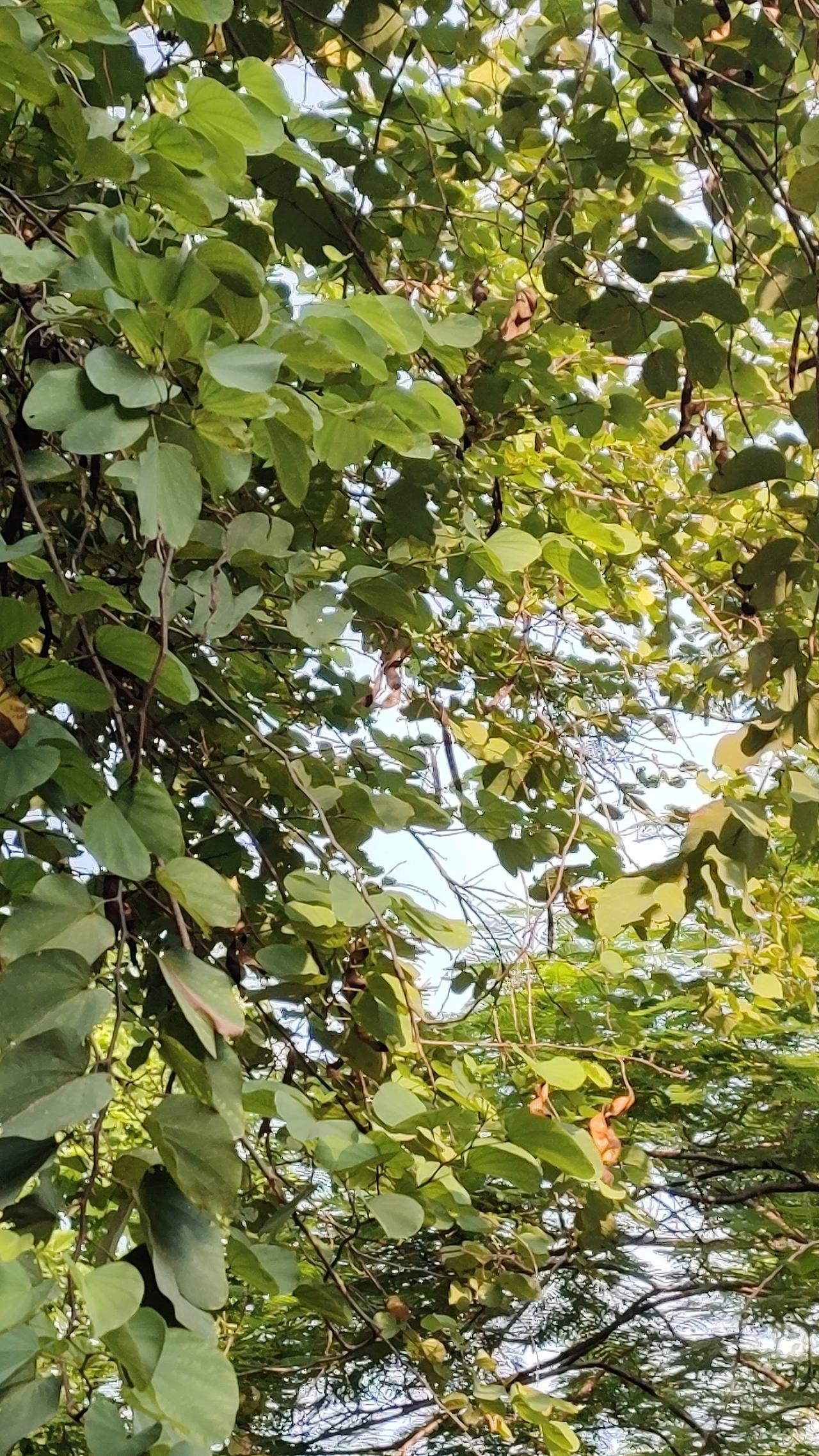 王婆才促成了潘金莲的悲剧，有人说王婆甚至连武松都不怕的，她都计划如何将武松也搞掂