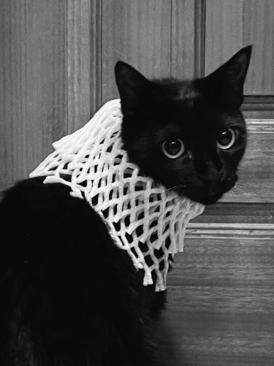 像吗？不像删了