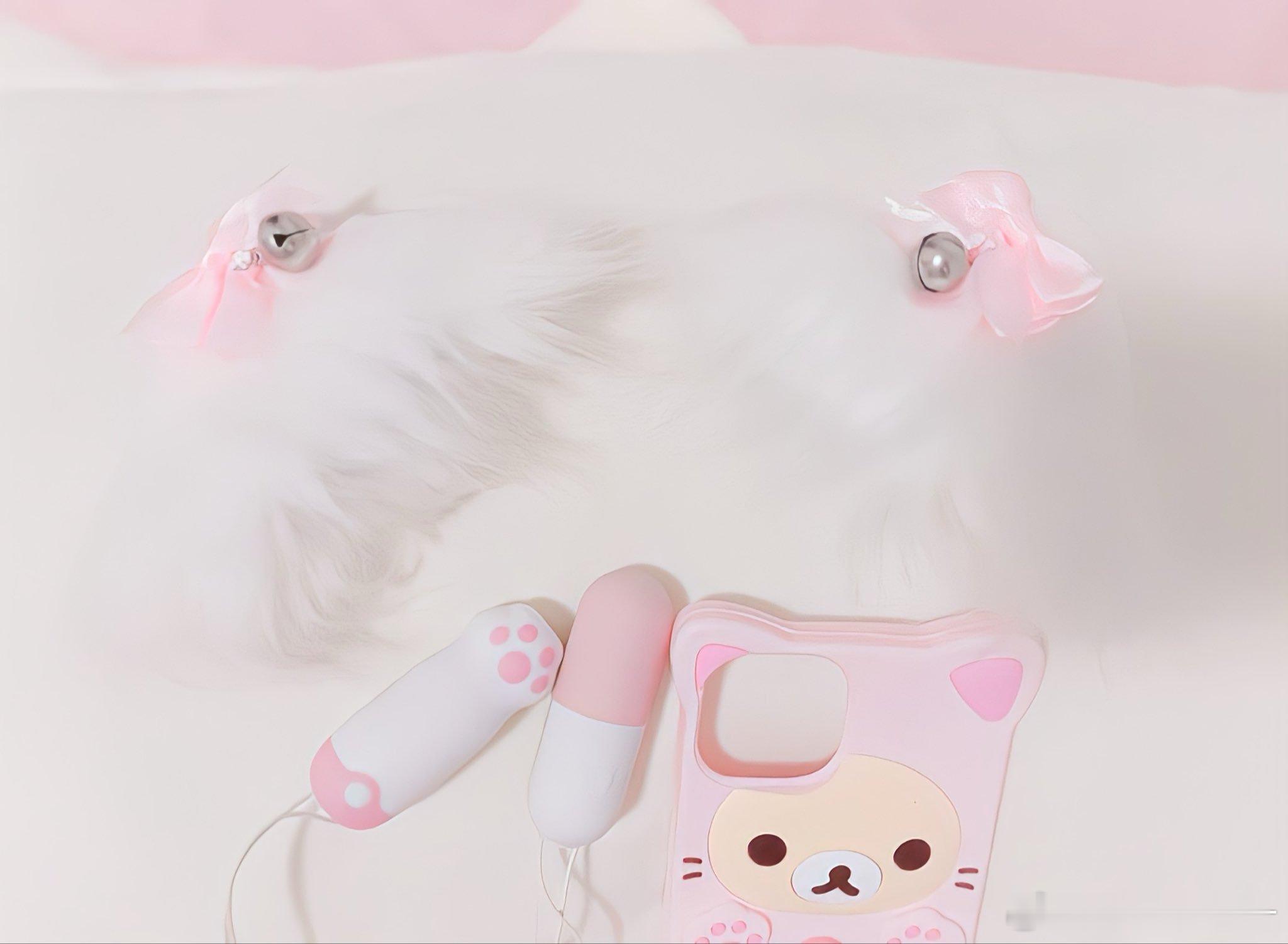 🐱 