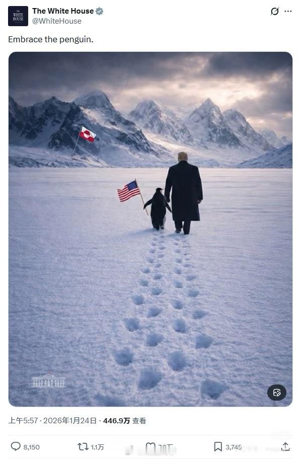 白宫晒特朗普格陵兰牵企鹅照翻车虽然你惦记格陵兰岛，但咱也不能在北极牵着一只企鹅呀