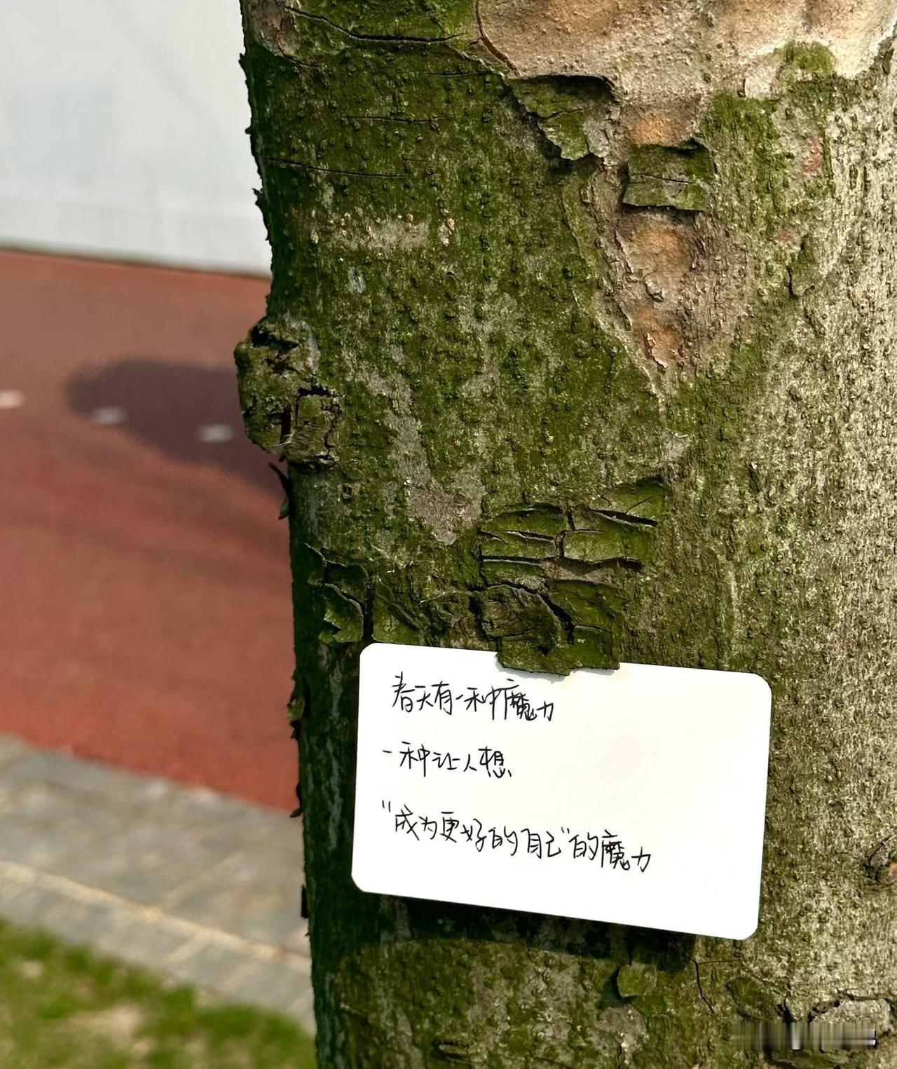 每个人心底都藏着一方不为人知的天地，它隔绝尘世喧嚣，独属于自己，便是心灵深处。世