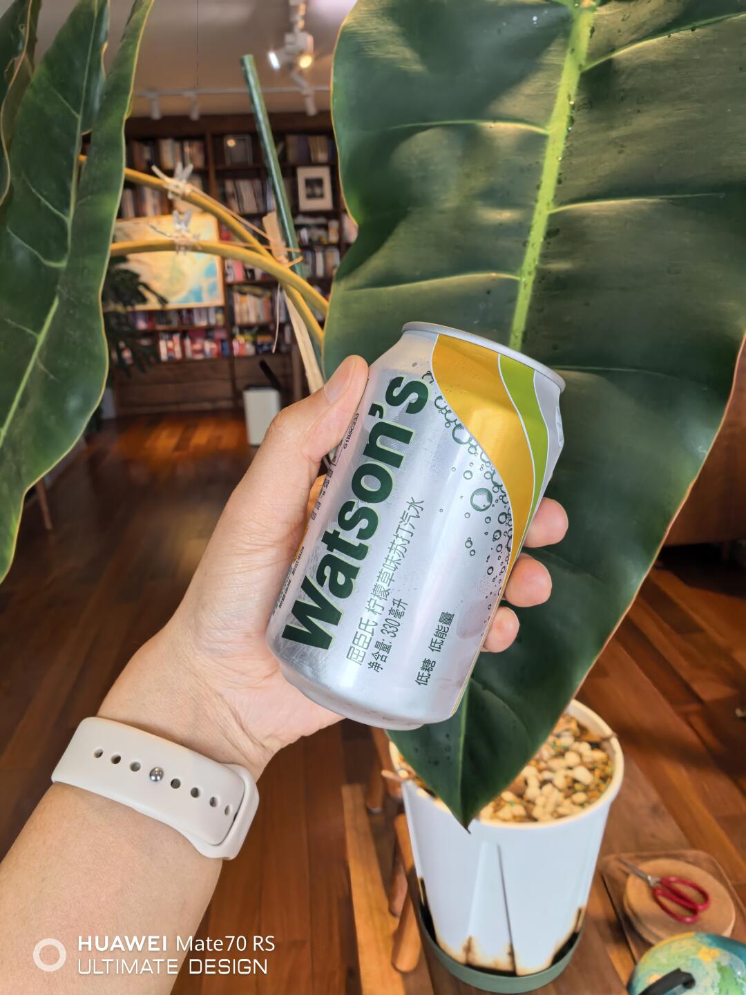 柠檬草其实就是香茅草，做成苏打水有鸡屎味