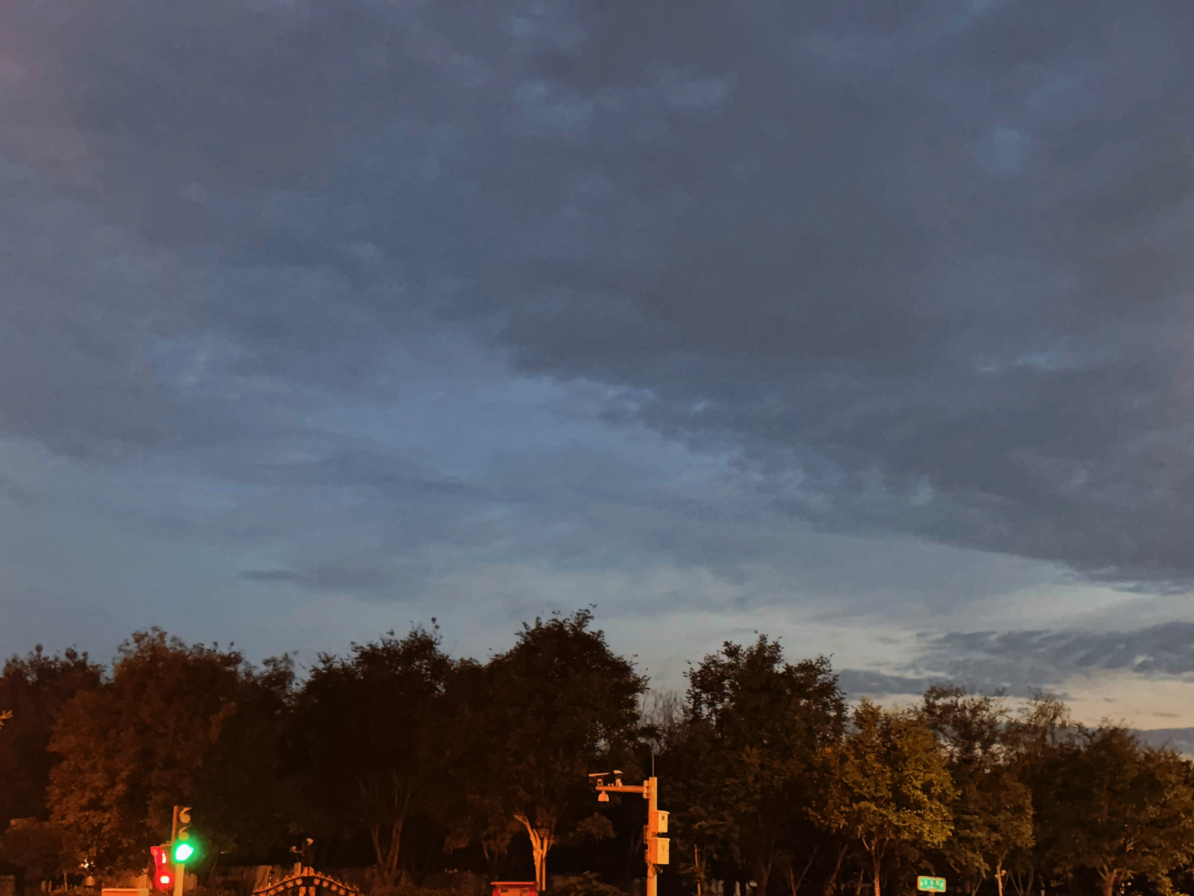 夏天这就过去了同样的时间出门路灯还在运转中公园的花在绽放打卡晨跑五公里拍拍照记录