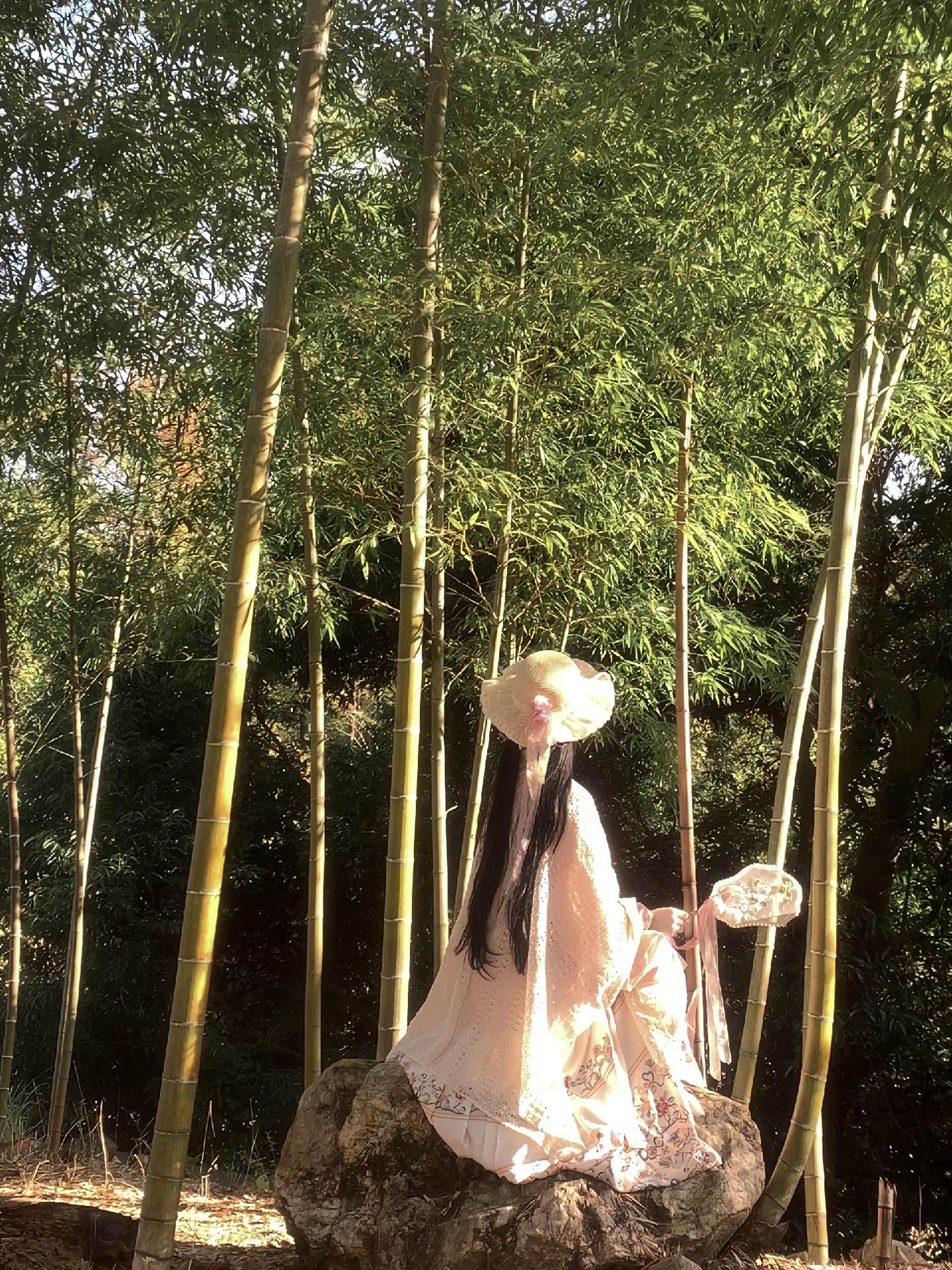 “竹风落 叶归河 情暇秋思难替花”