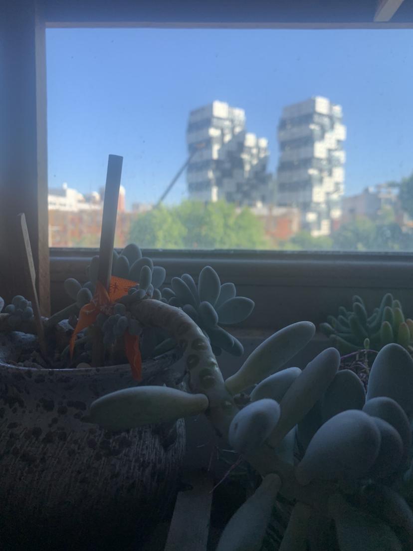 我的今日状态：😁轻松愉快
我这里的天气：☀️晴天