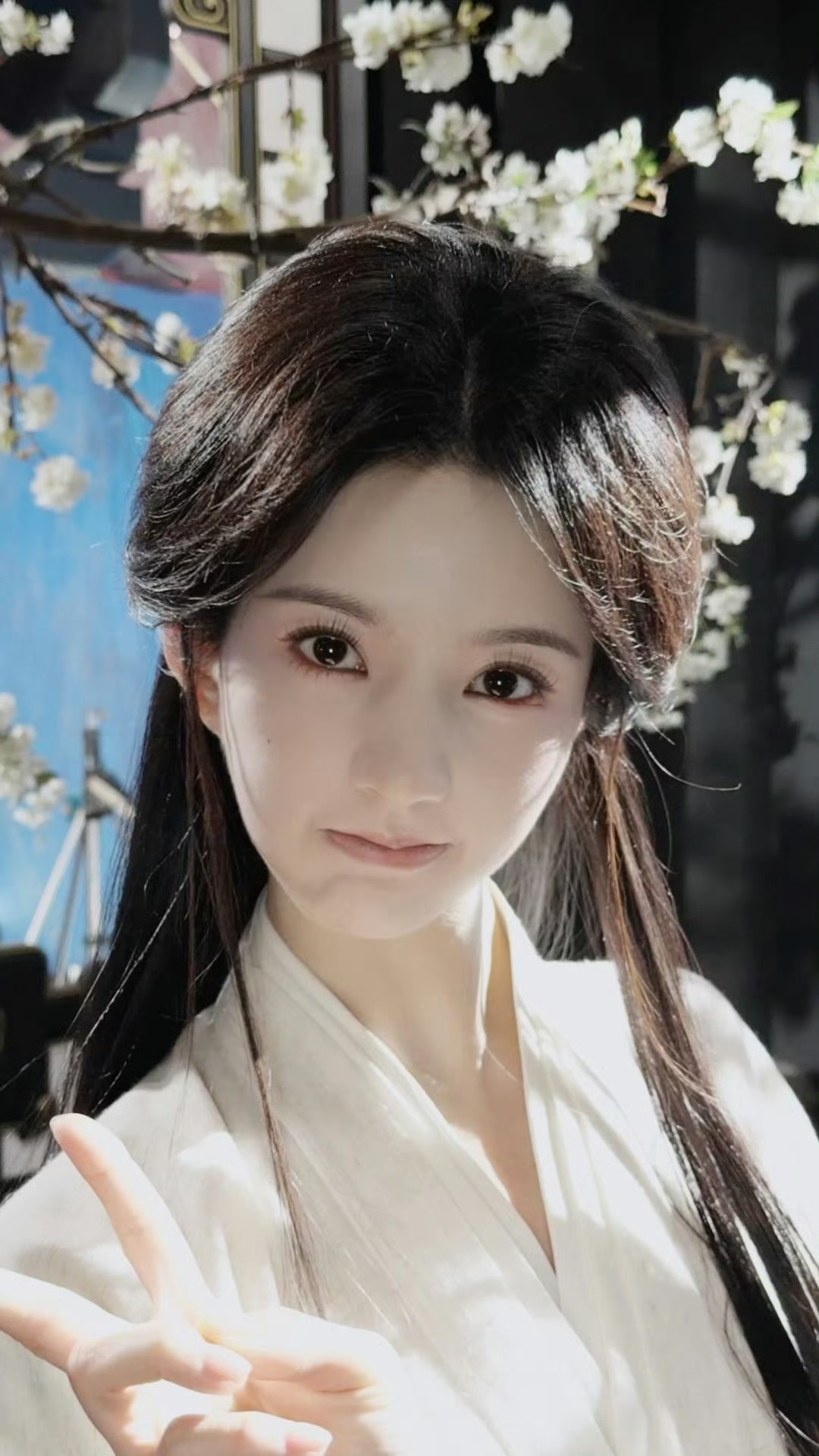 刘些宁 魔婉来了 