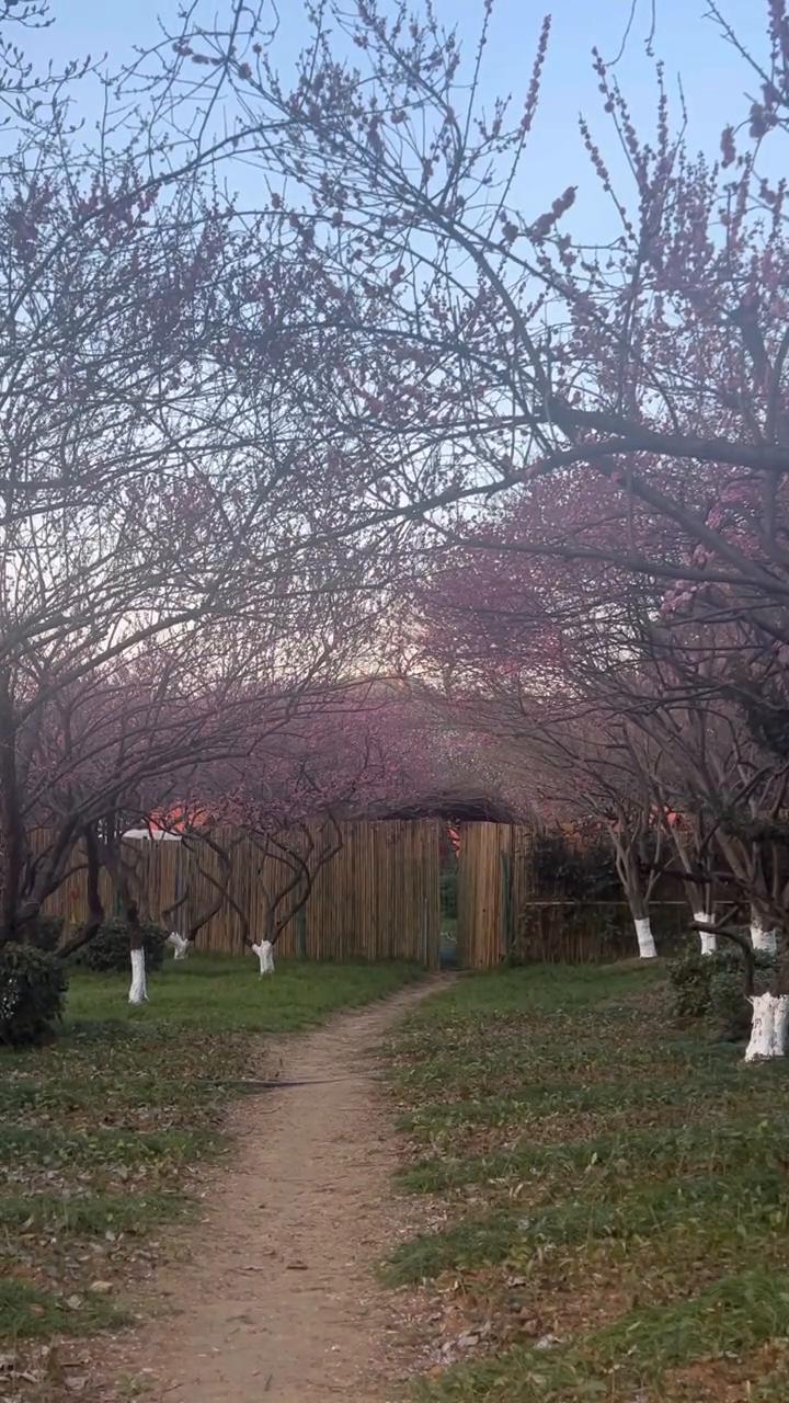 遇到喜欢的风景就拍下来吧。不是每一次相遇都有下一次，不是每一种心情都有下一次。