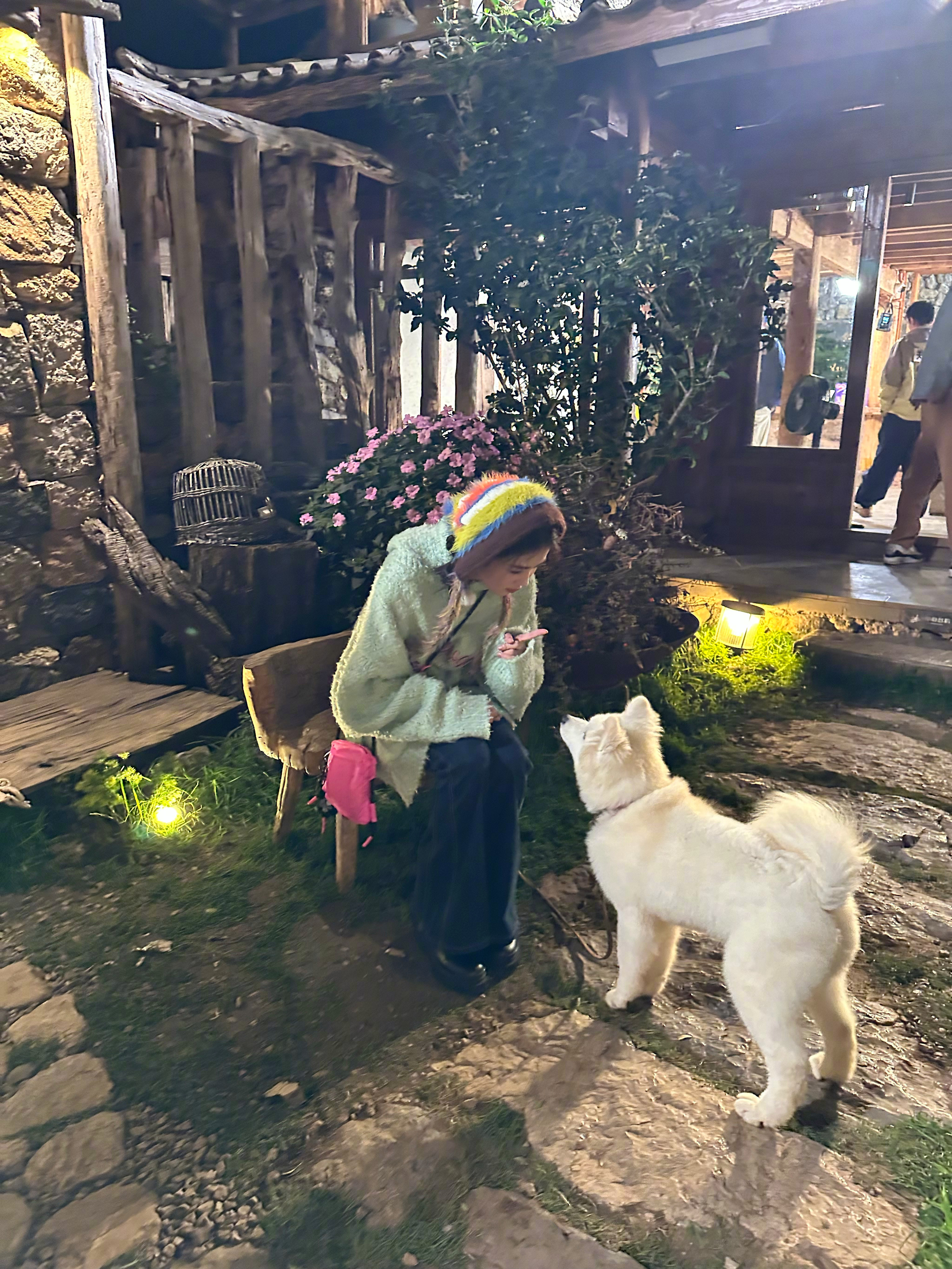 白梦妍跟狗狗૮・ᴥ - ა交流中……坐下握手手～ 