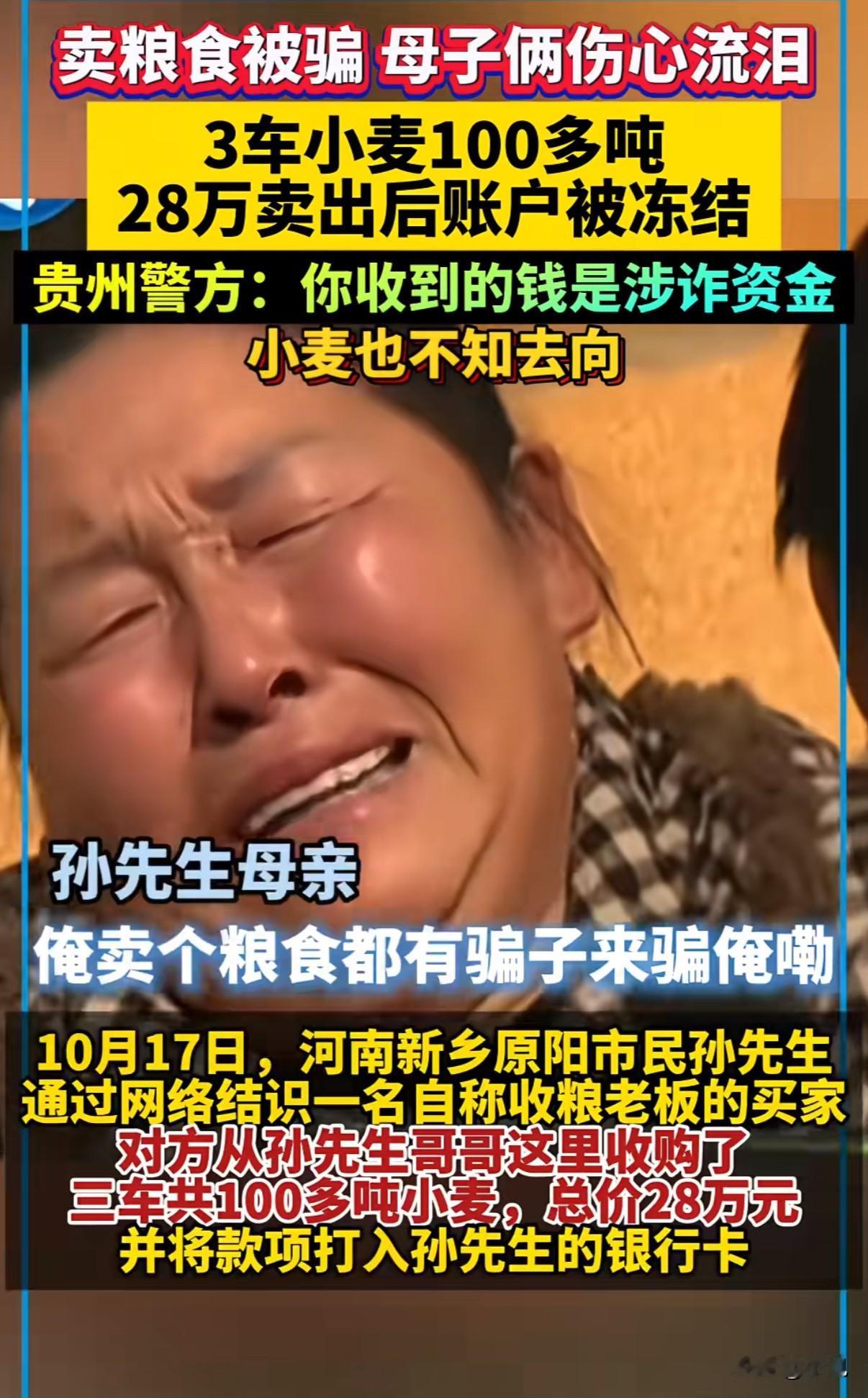 “欲哭无泪”！河南一对母子，辛辛苦苦收了100多吨小麦，被人用28万买走了。结果