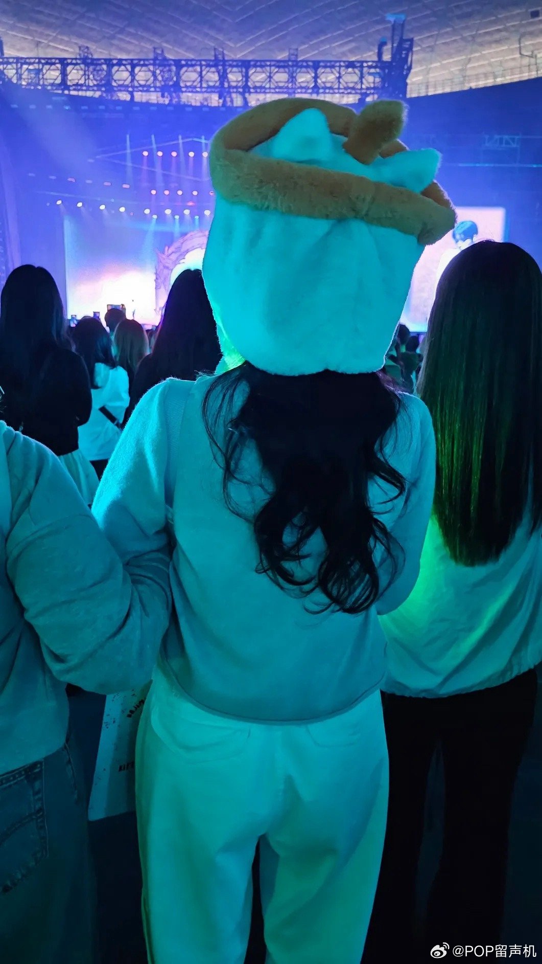 划愿奶茶猫视线阻挡区 