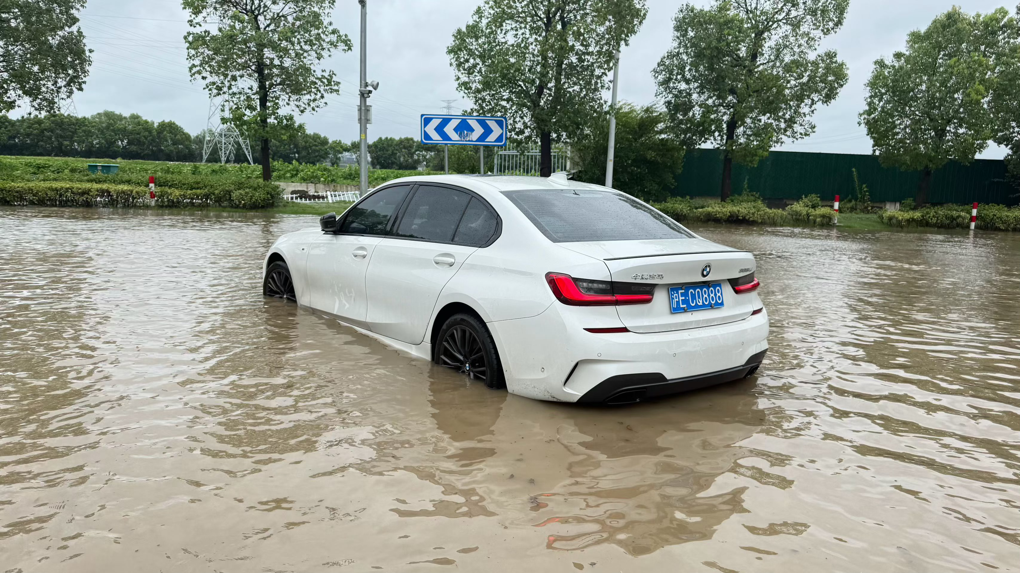 沪爷颜面扫地台风白海豚或给上海带来龙卷风