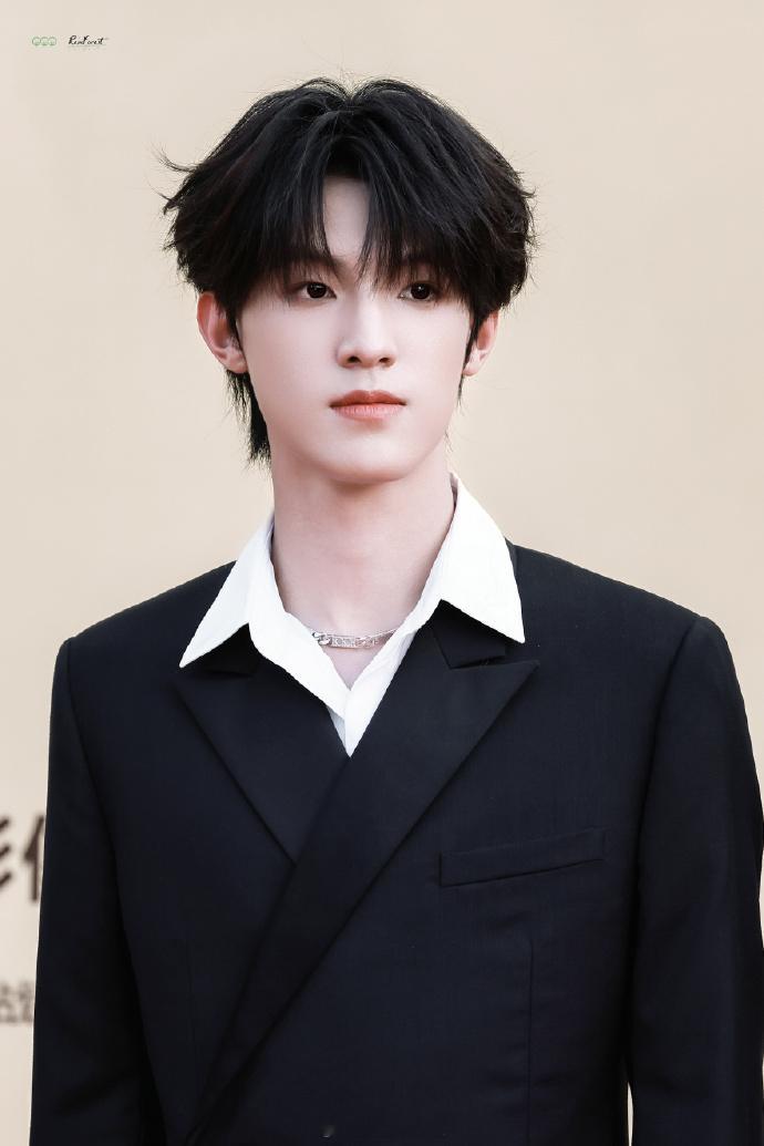 张泽禹金鸡奖白领黑西装造型  金鸡奖上，张泽禹的白领黑西装造型尽显帅气魅力，让人