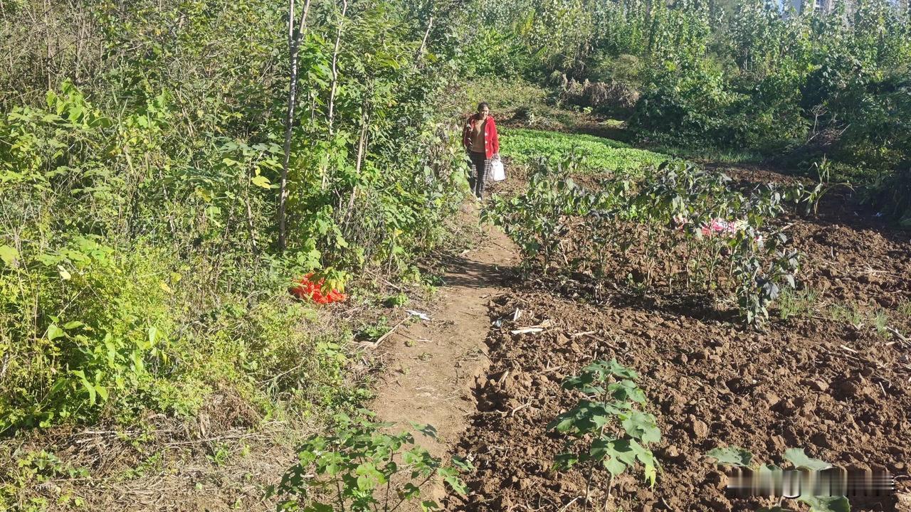 上联:岁月悠悠常念旧
下联:春风袅袅总刷新
          (你对下联)
