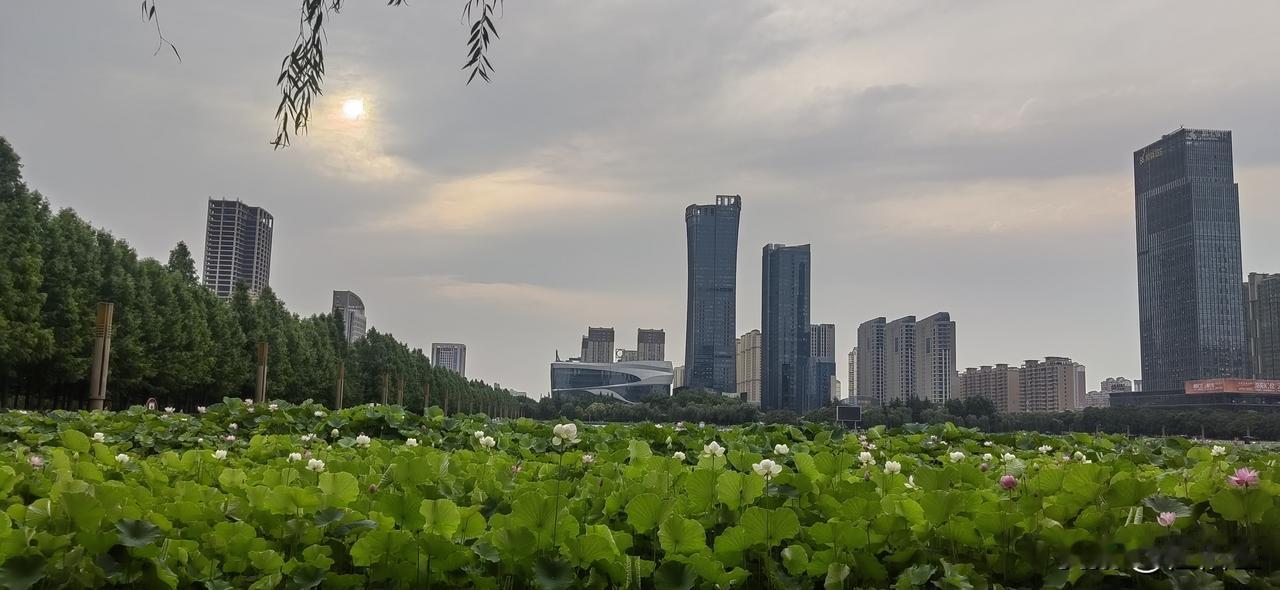 一年一度高考季，
再度打了“快乐教育”的脸！
谁信快乐教育，谁以后就不快乐！
近