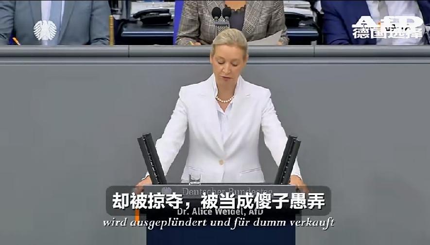 德国选择党领袖爱丽丝.魏德尔9月9日在德国联邦议会发表演讲，在关于移民福利的问题