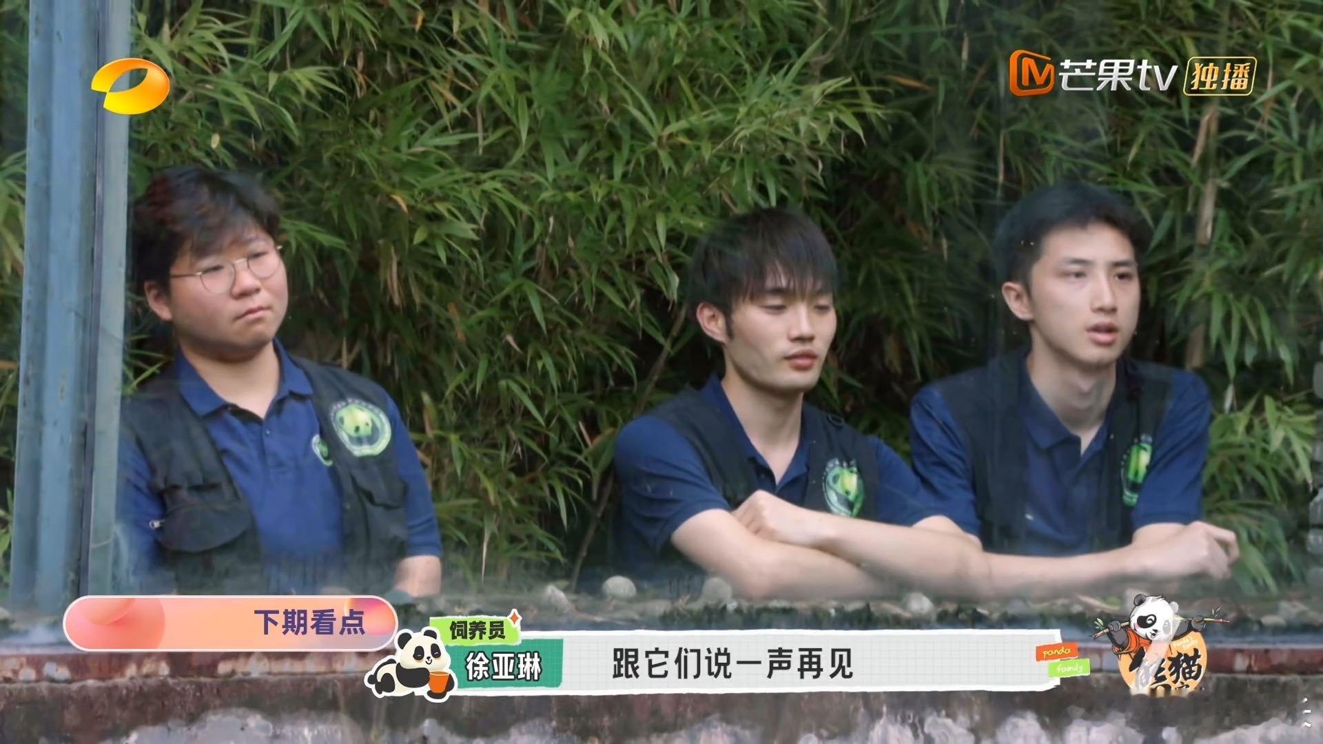 #遗憾是熊猫离世但无能为力#对于熊猫来说，这一幕让我们大家都觉得非常的难过，而且