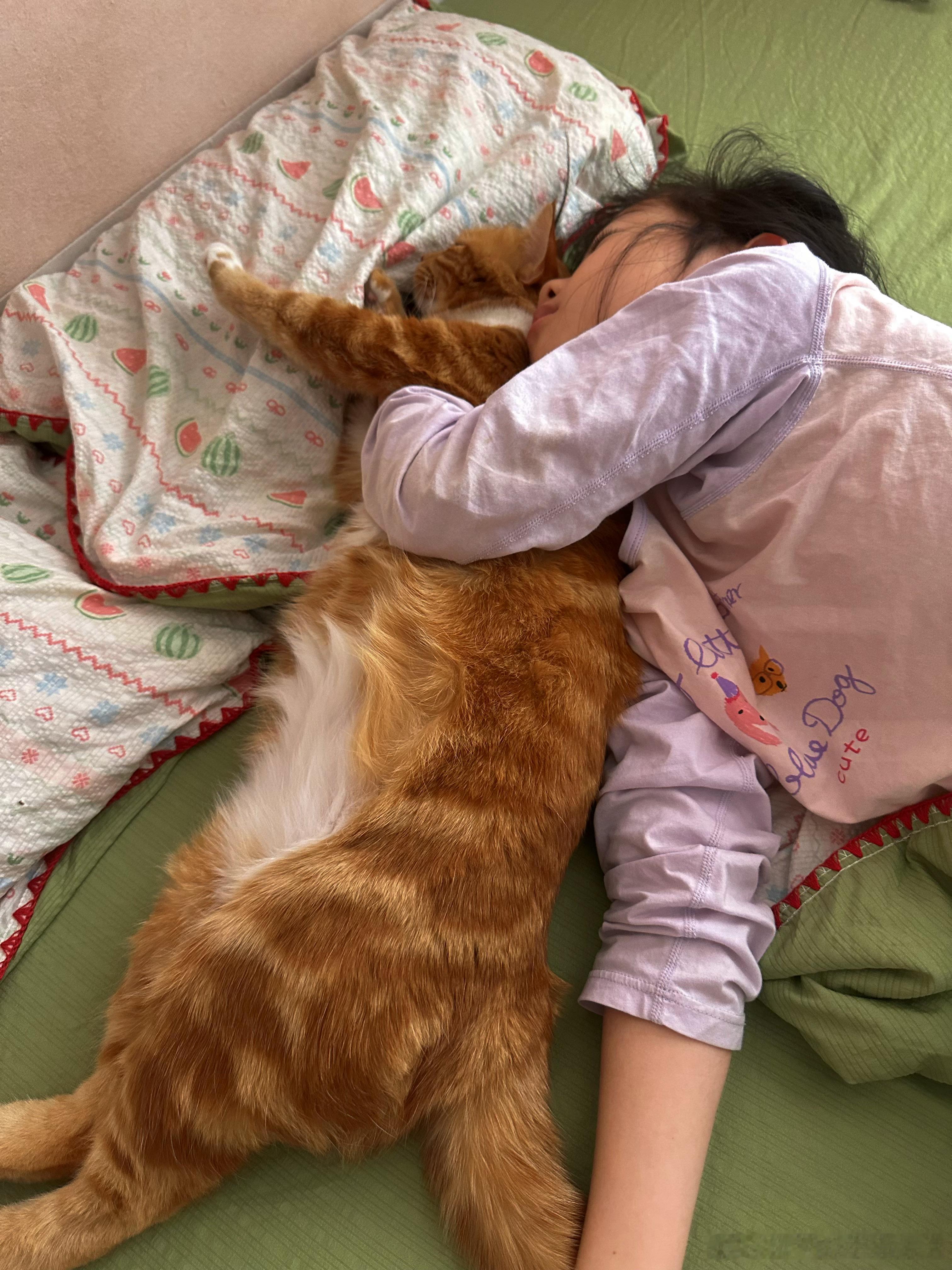 两只都睡眠质量极高猫
