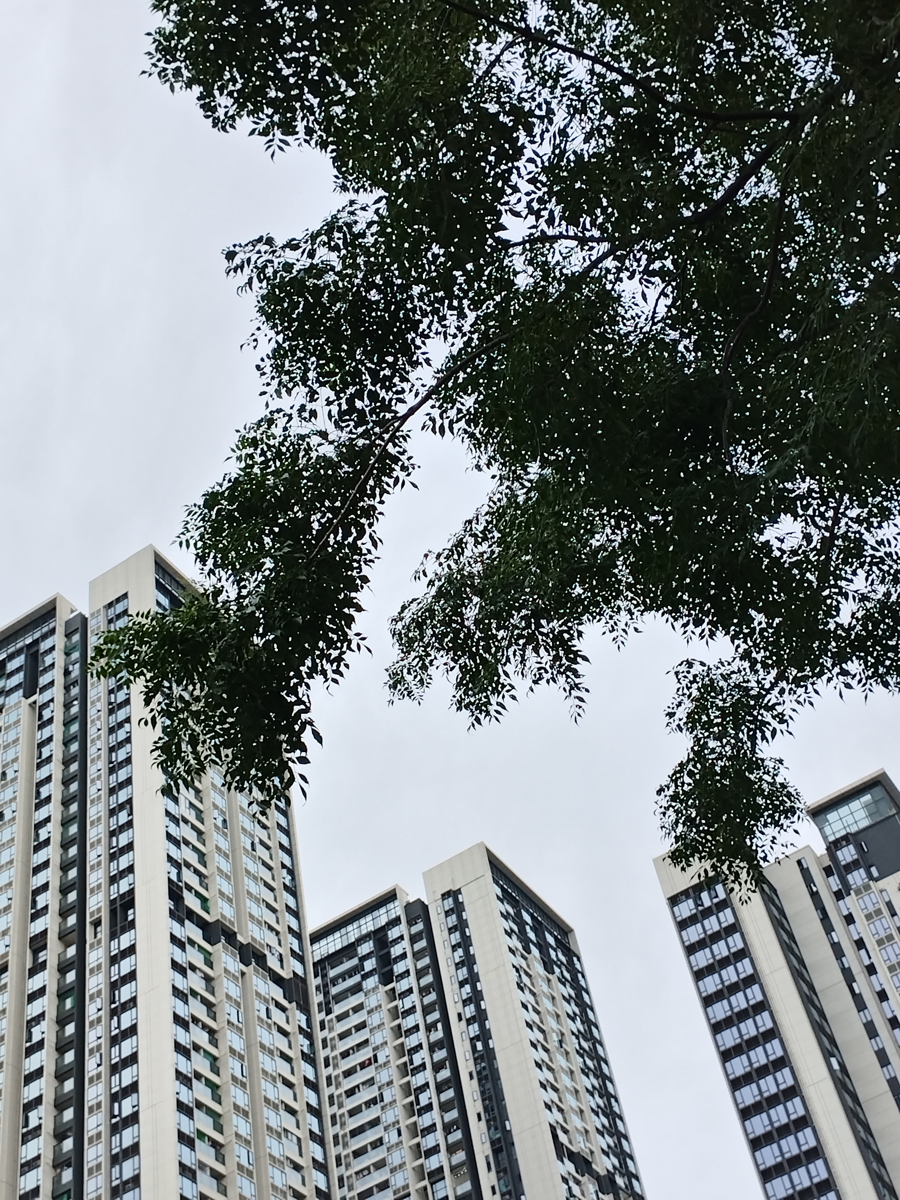 看到热搜说“一大批中产抄底香港楼市”，数据确实挺吓人：上半年2000万港元以上的