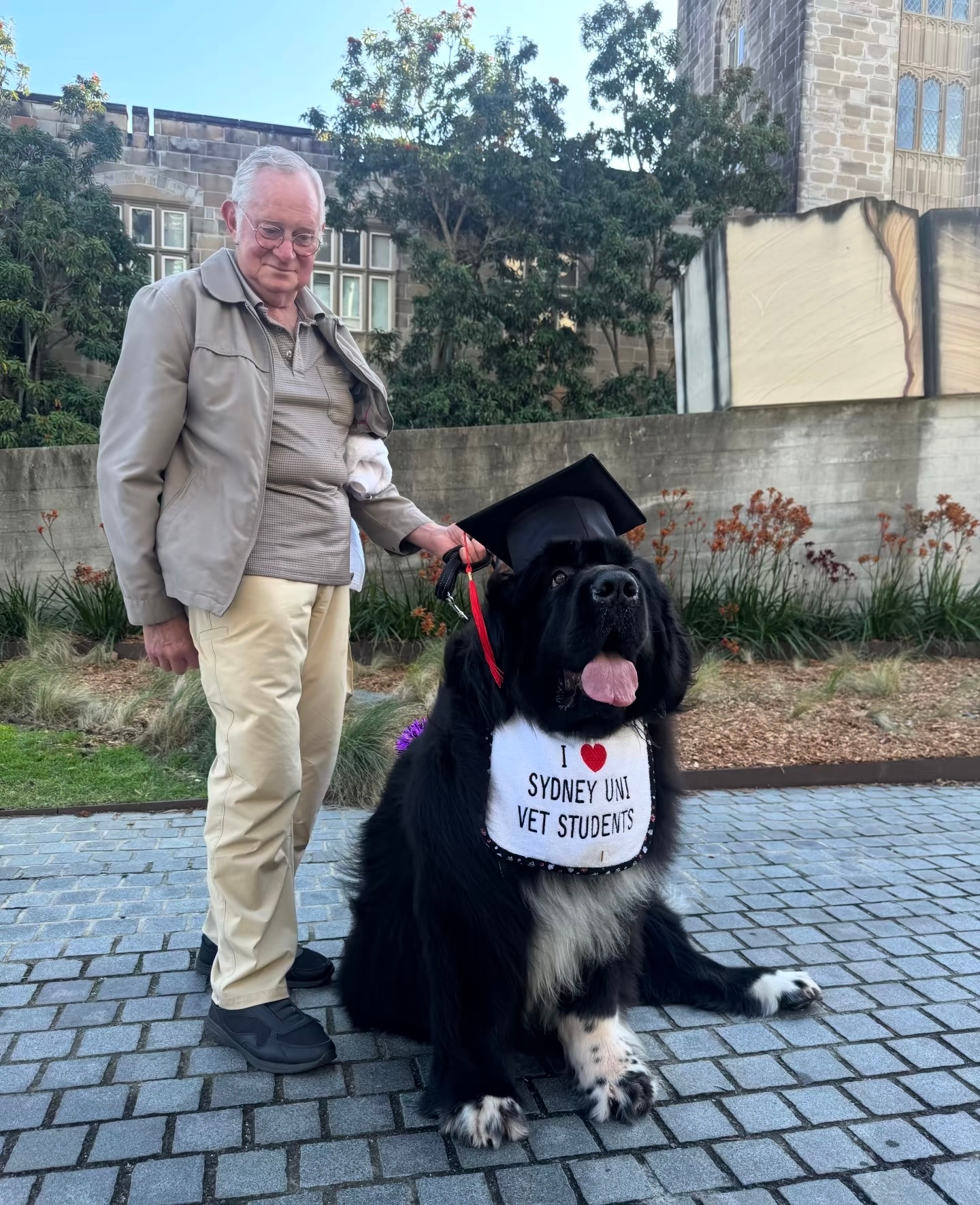 dogtor ​​​