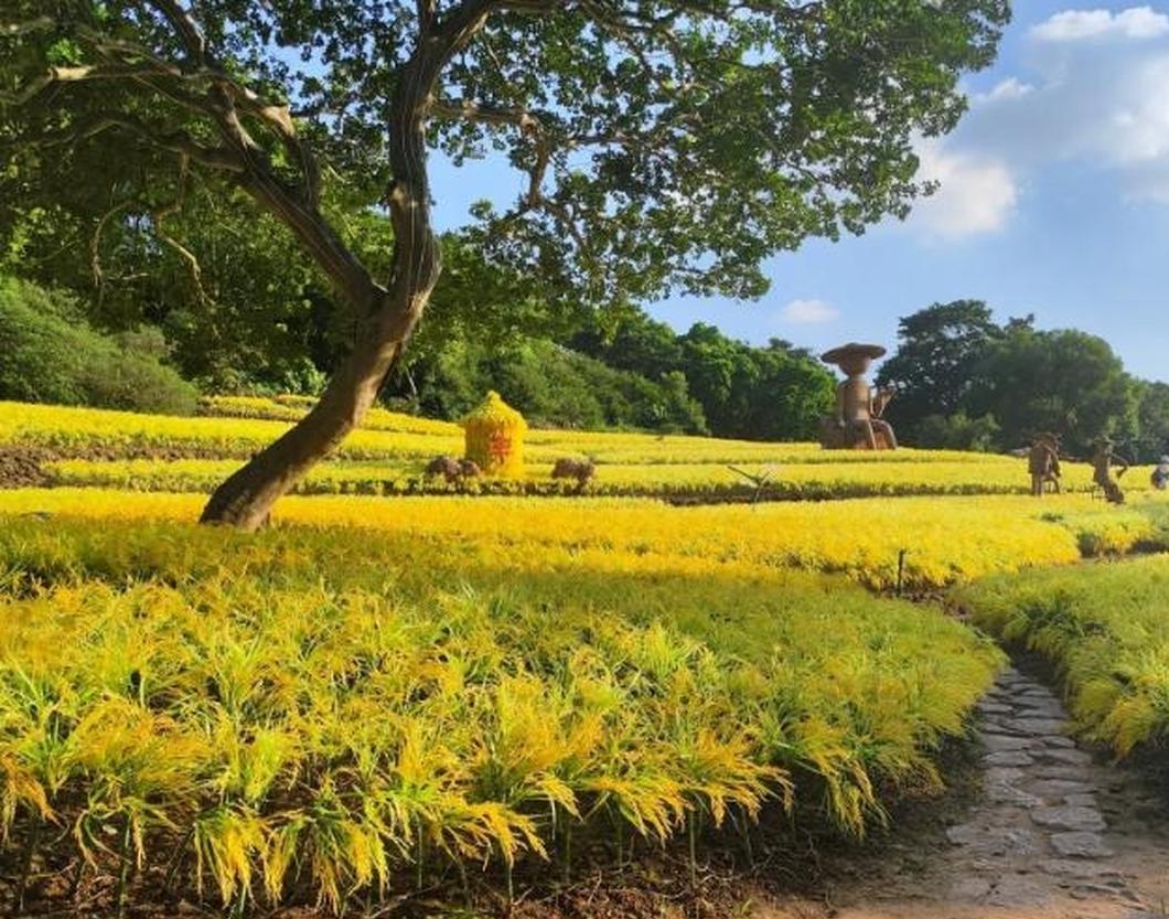 儿子女朋友上门，我给了女孩一万元，结果昨天儿子到女孩子家，由于是第一次上门，光烟