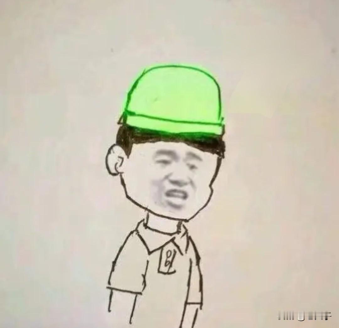 东北方言之（695）王八头：
这是最常用的一句骂人的话，指妻子有外遇的男人，这种