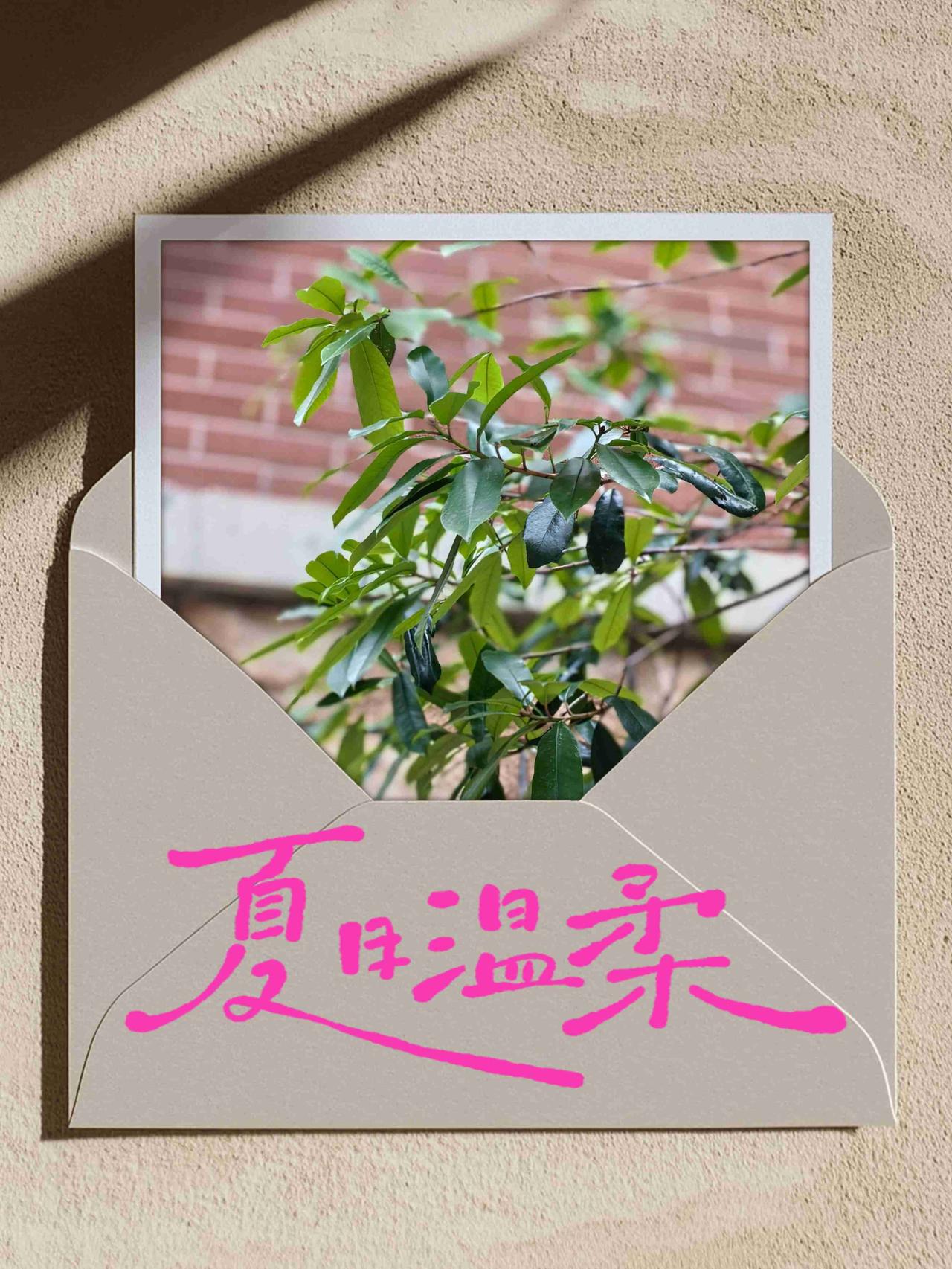 夏日来信，
我们要活得热烈，自由。

带定位晒今日生活
我的今日状态：😁轻松愉