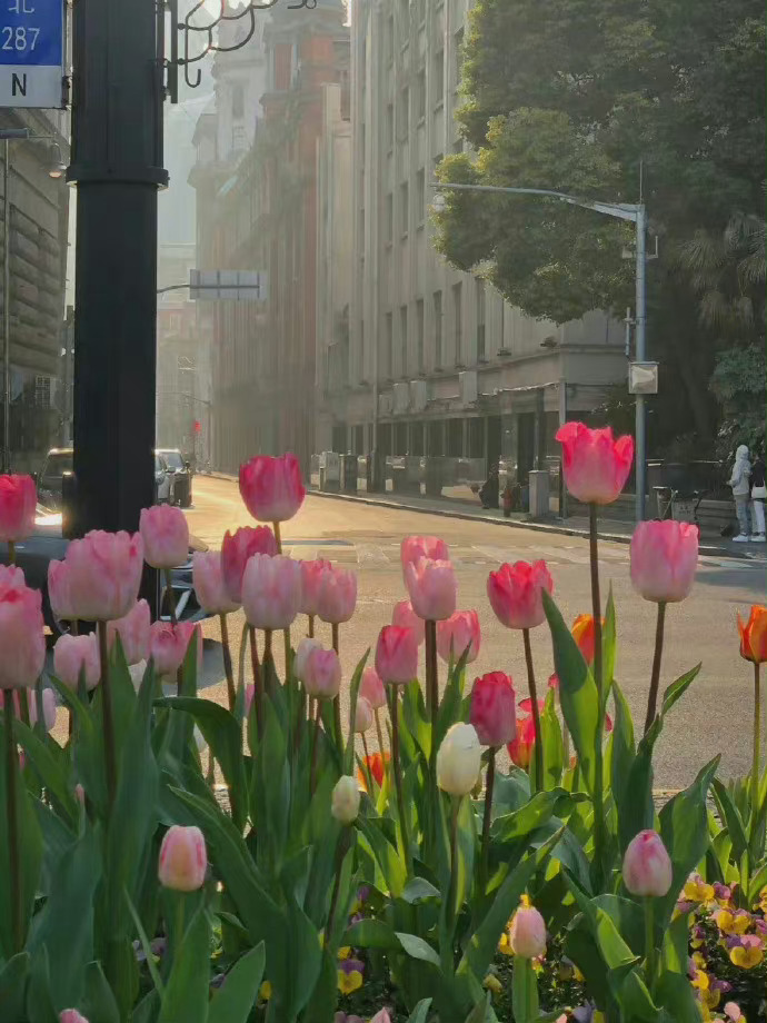 人独自行过生命，蒙受玷污，承担罪过，痛饮苦酒，寻觅出路。 ——赫尔曼·黑塞《悉达