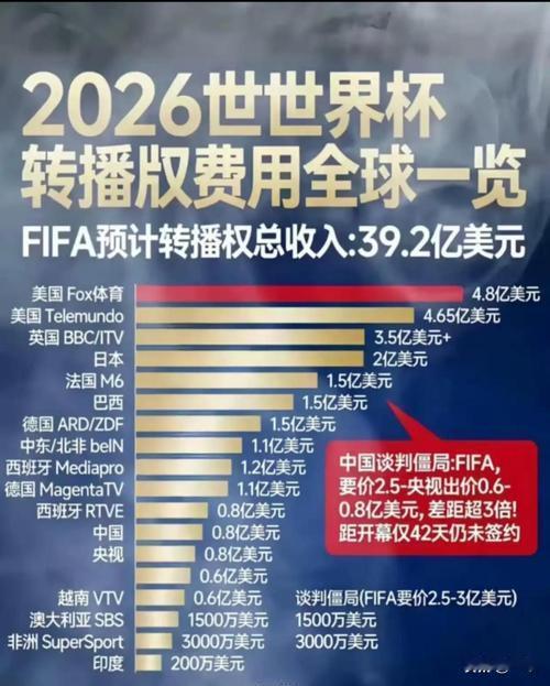 5亿重金砸世界杯！中国品牌豪赌曝光，真实转化率太现实
 
2026年美加墨世界杯