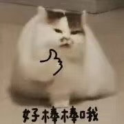 出门背哪个包都得选半天万万没想到奶茶包装袋火出圈！重大场合靠霸王茶姬撑气场，拍照