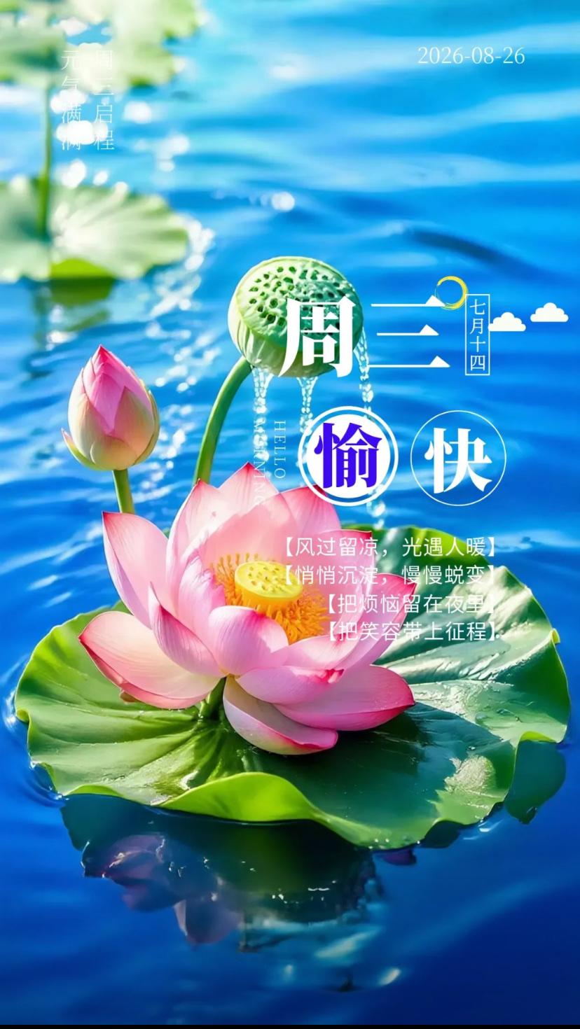 秋晨寄语，秋气朗心敞亮，烟火温馨日吉祥。
2026./08.26.
[微风][玫