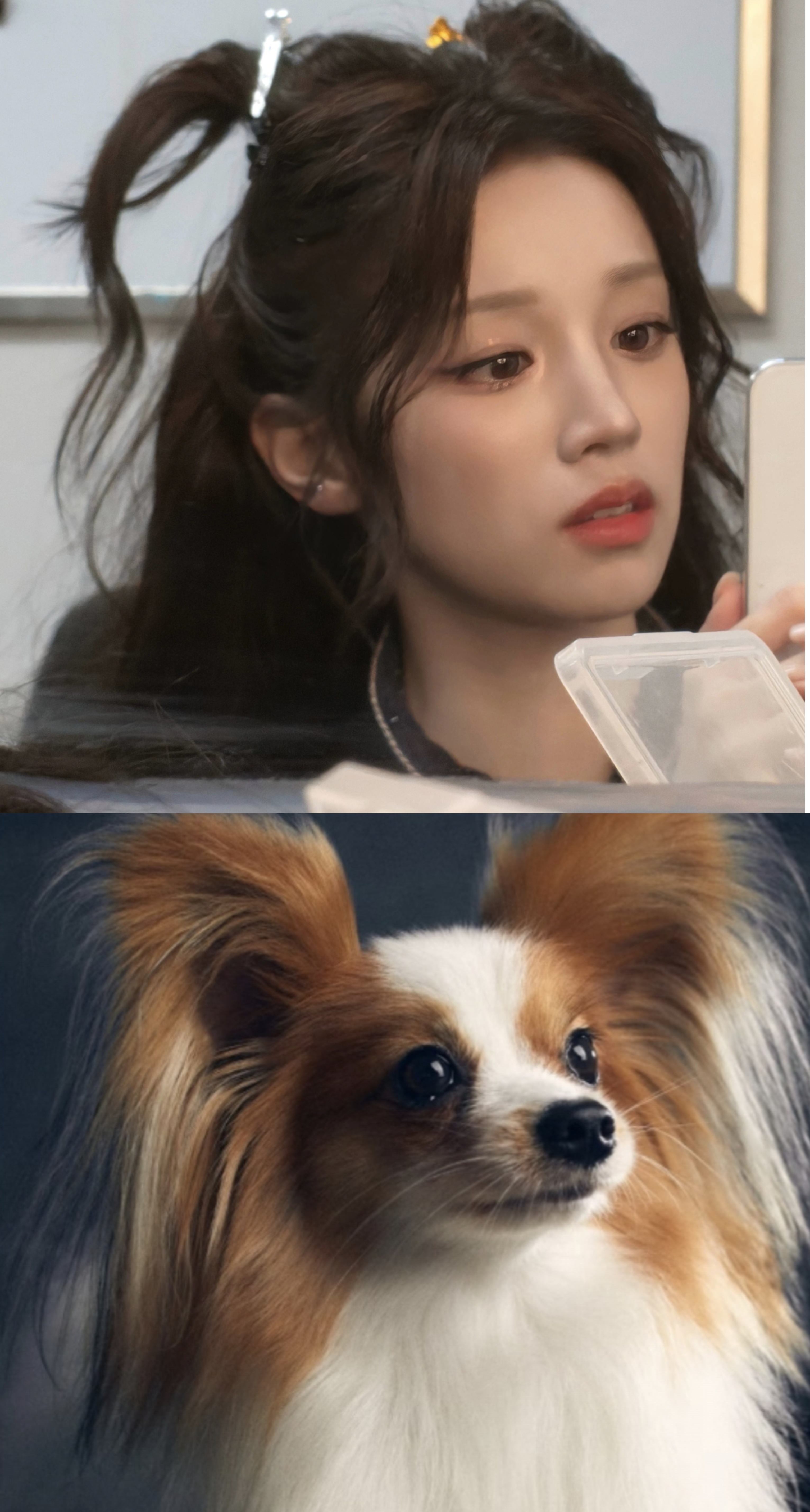 宋雨琦🐶 宋雨琦 小狗，该名词的官方定义是一个叫做宋雨琦的萌物😋