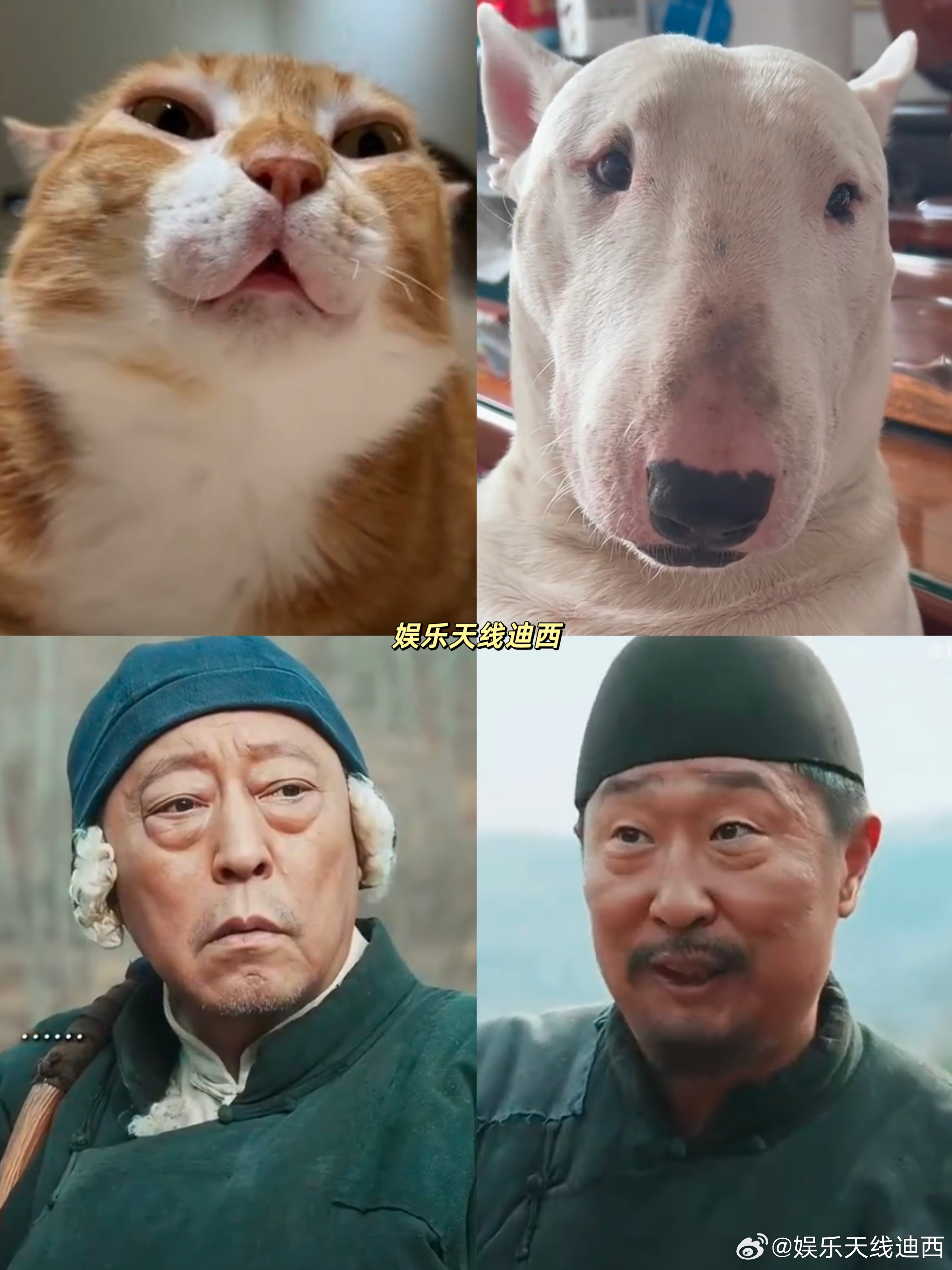 眼睛没有对方眼袋大这是你们爱磕的猫狗cp吗？[笑cry] ​​​