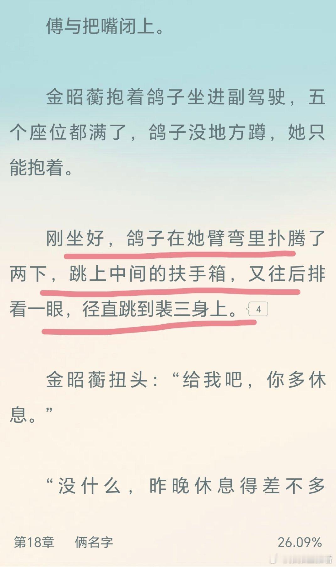 鸽子好偏爱茶茶三啊
