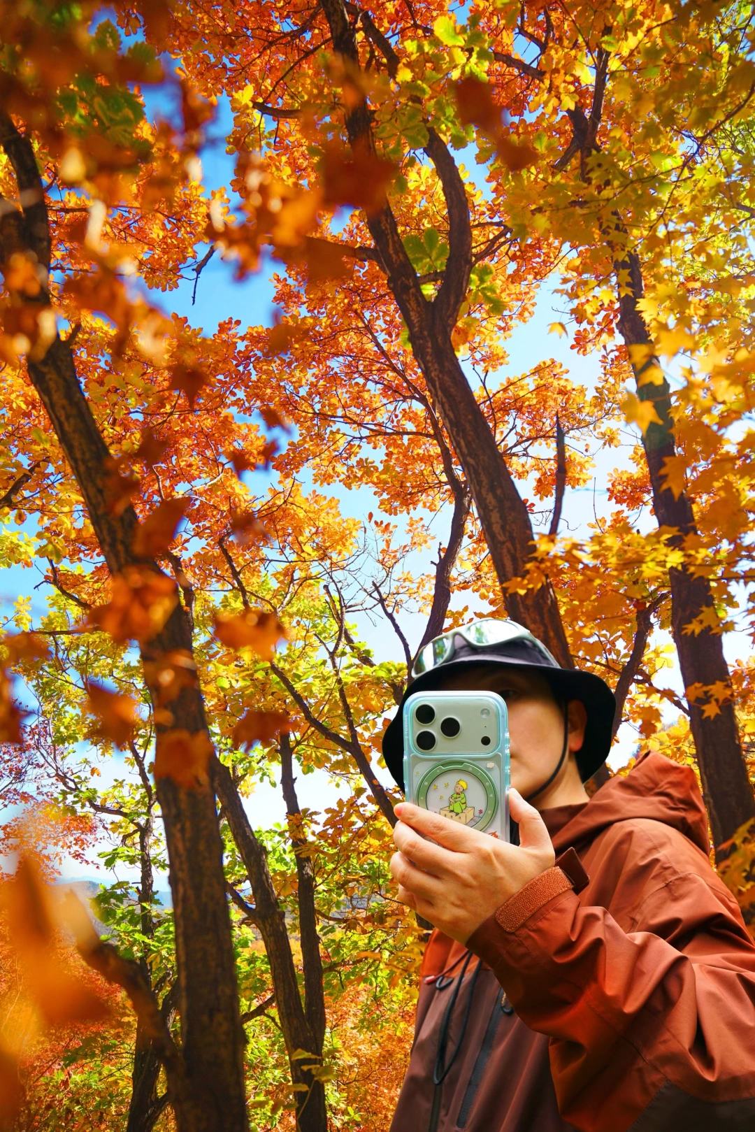 北京秋天徒步🍁无平替体验