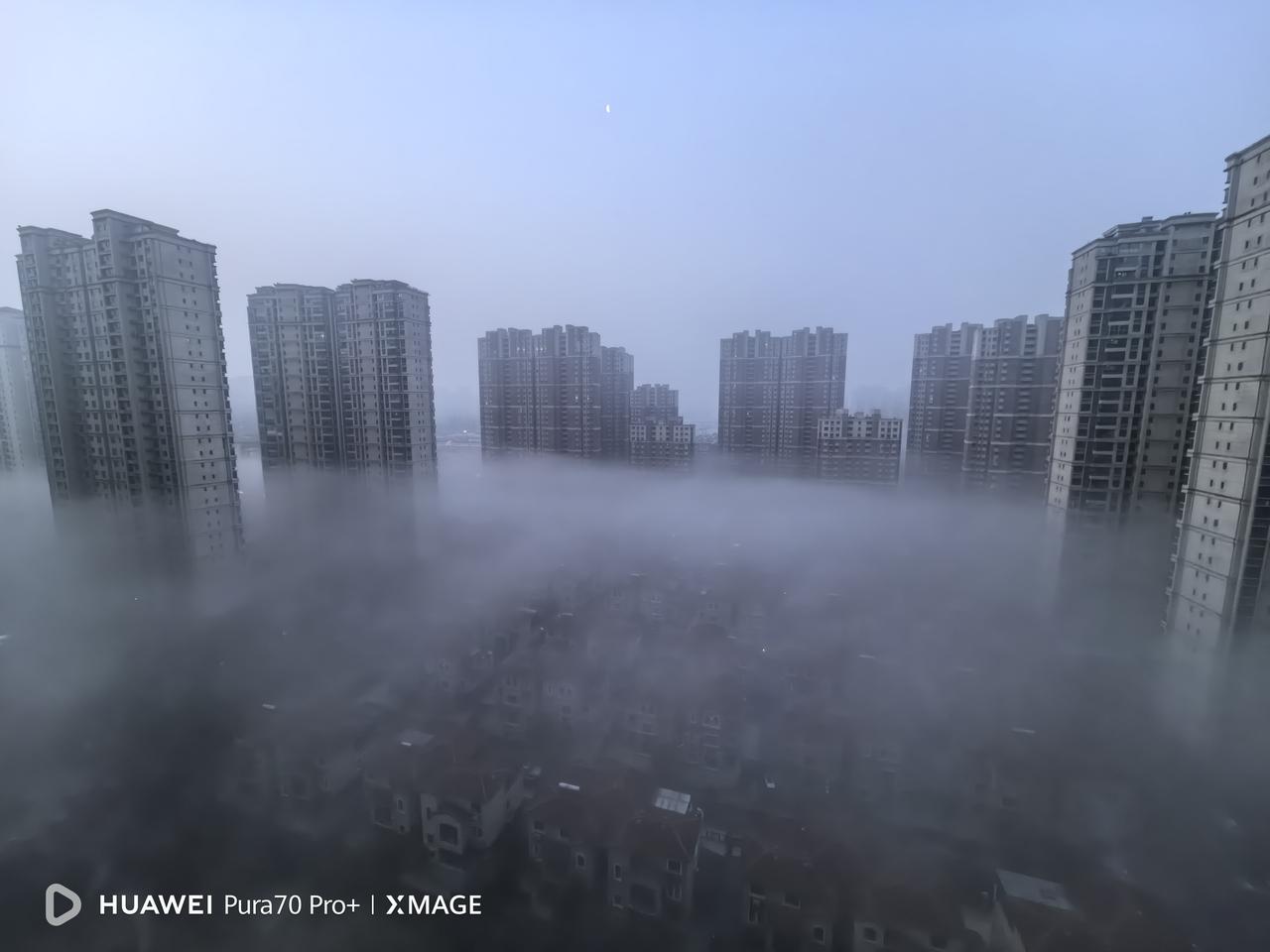 昨天早上起来，看到这番景象，我突然理解了黄帝内经里的一句话:
春三月，此谓发陈。