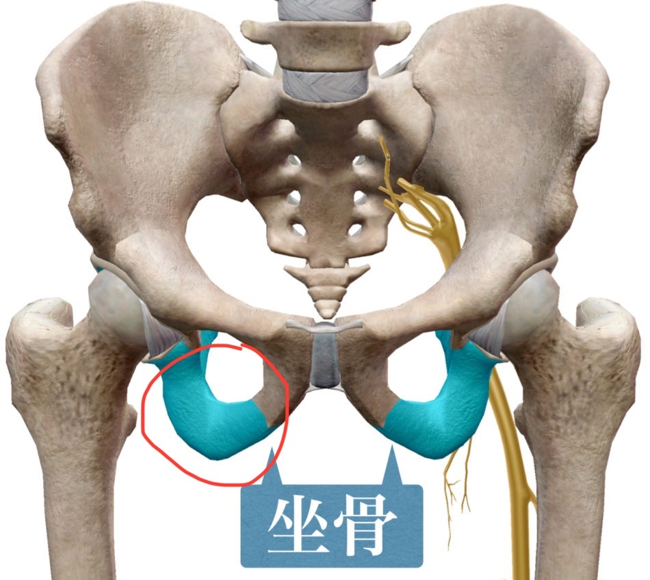 坐骨疼痛  重心不平衡和单侧疼痛，经常是一起出现的，北京奥森店这位姐姐，跑步的时