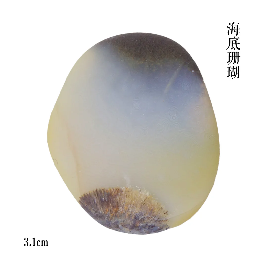 发现这石头很有意思
