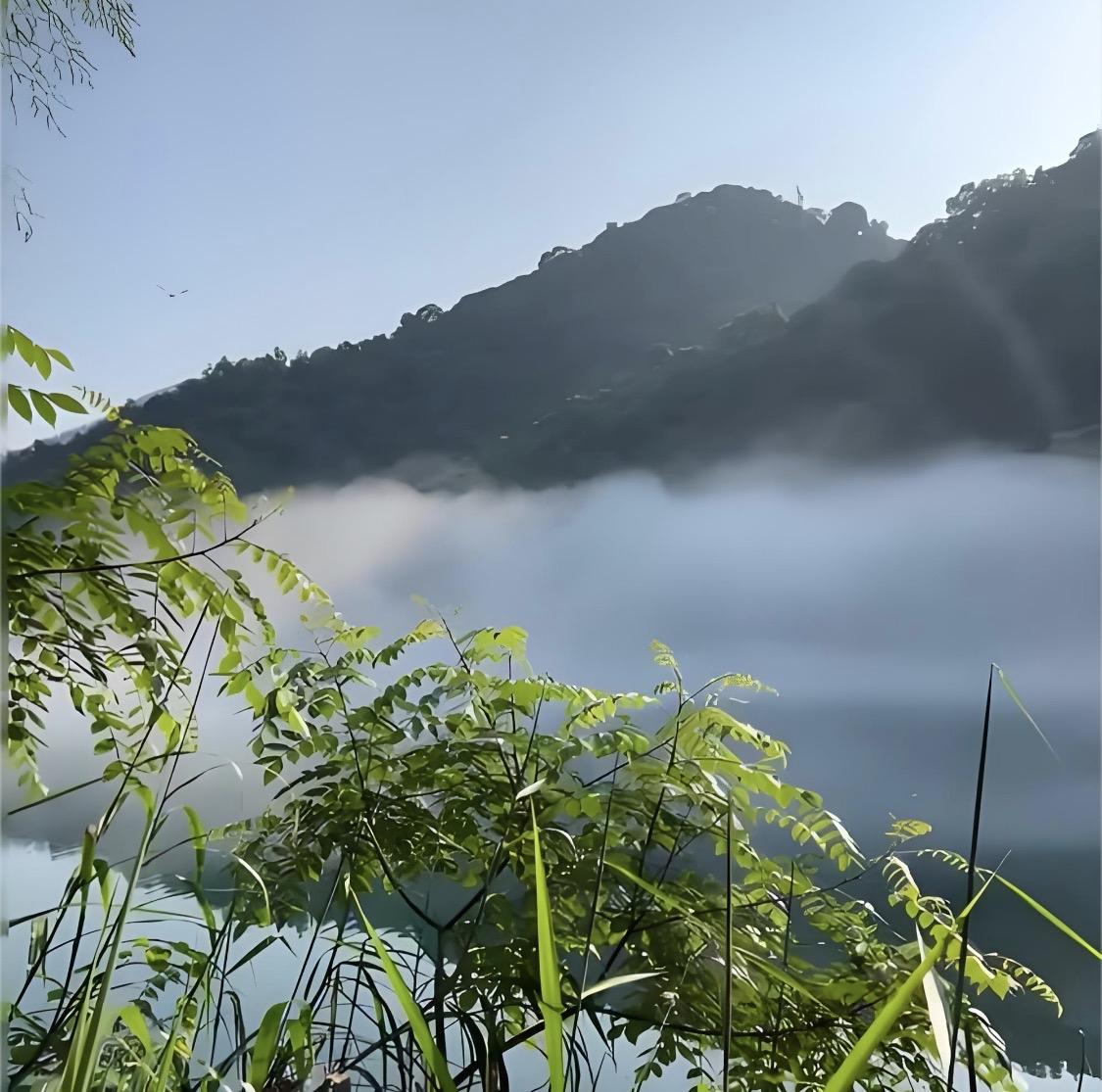 谷谷友极富创意，恰似潇湘的山水，实乃自然界鬼斧神工之佳作。那奇峰峻岭、幽深峡谷，