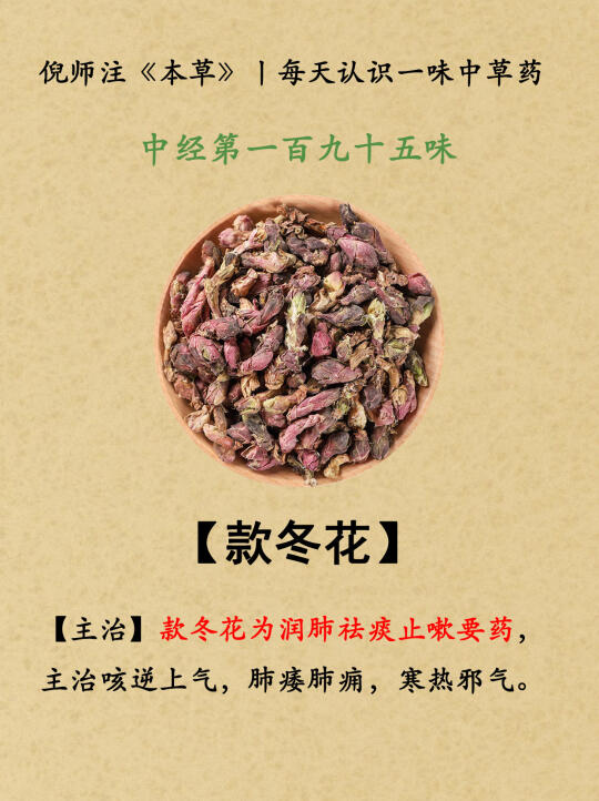 倪师注《本草》丨中经195-款冬花—196-牡丹