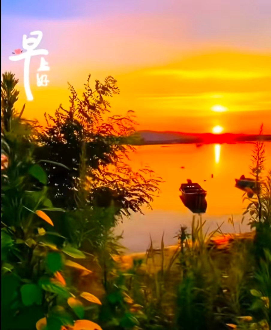 分享图片 ​​​