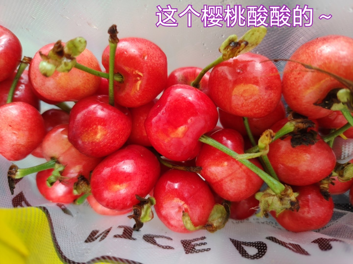 张小小的平日废话 又来吃江西小炒了 