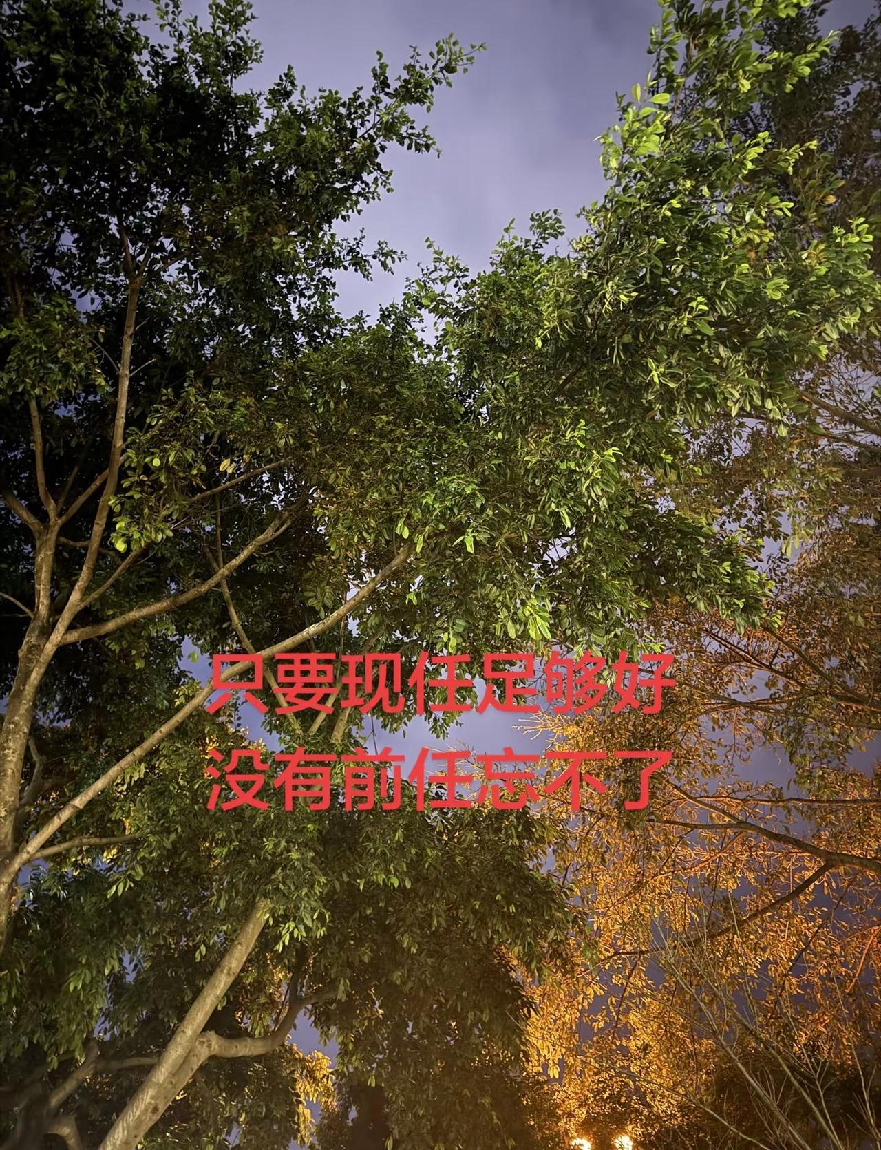 但凡前任放不下，都是因为混得差 姐妹做不了别人那娇滴滴的小娘子 那就格局打开 只
