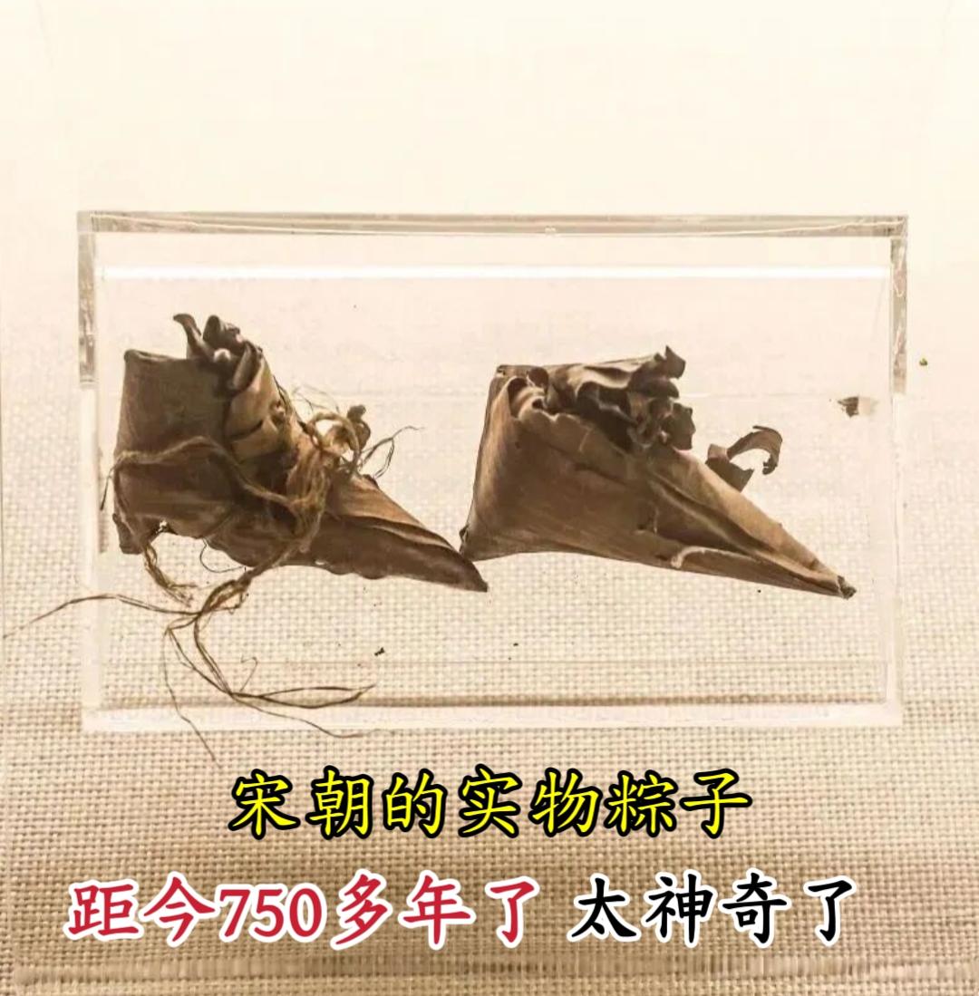 宋朝的实物粽子 太震撼了！！图一图二中的粽子，出土于江西德安南宋周氏墓...