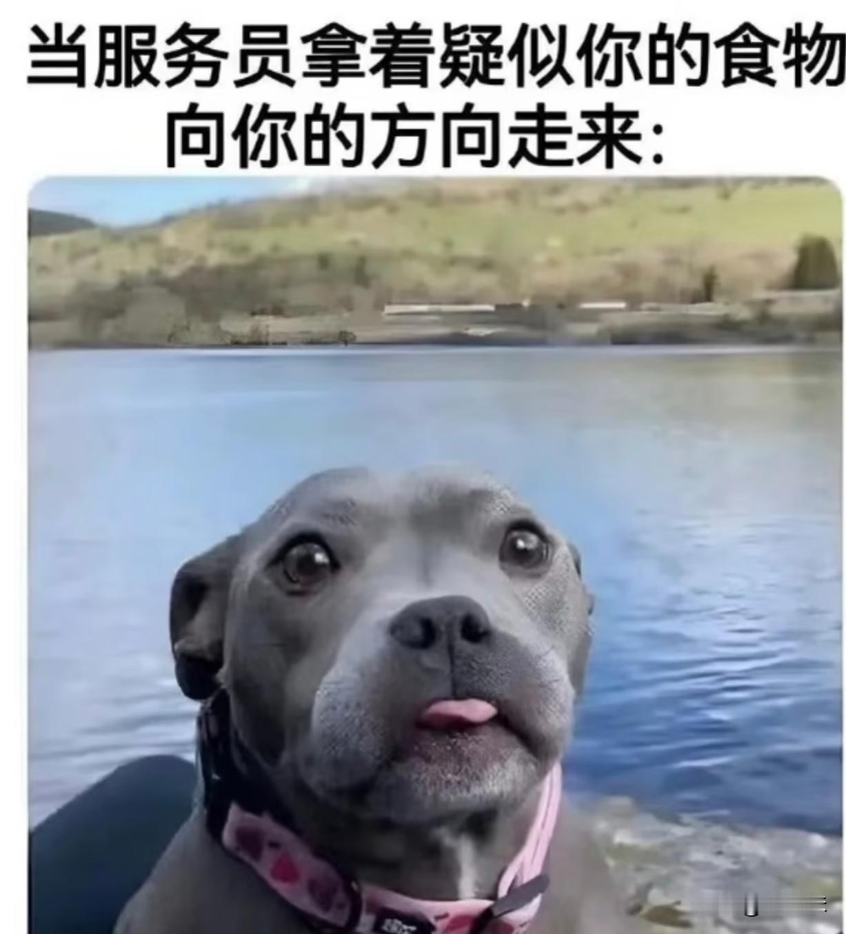 太真实了，像不像你们出去吃饭时的样子？