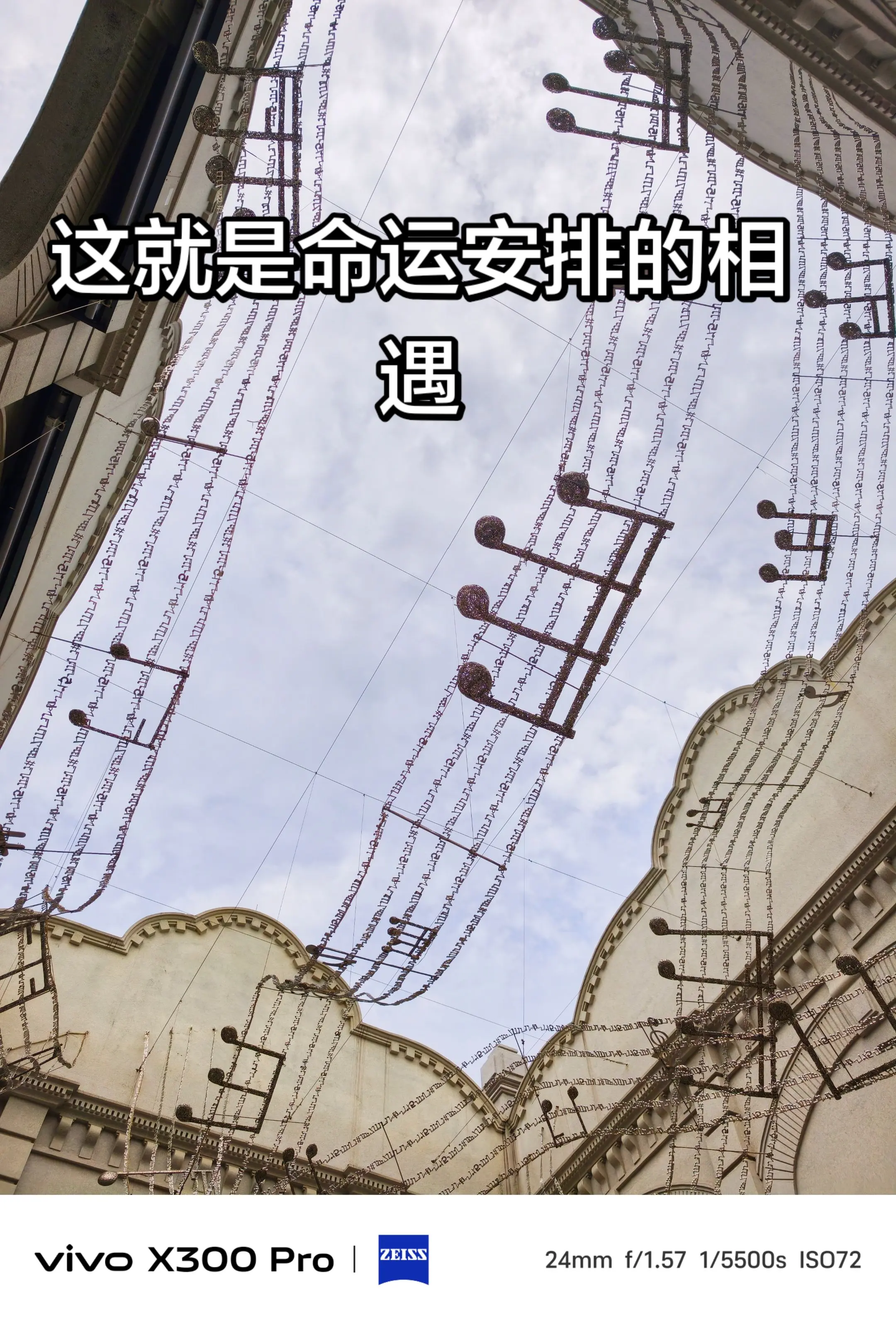 这就是命运安排的相遇。