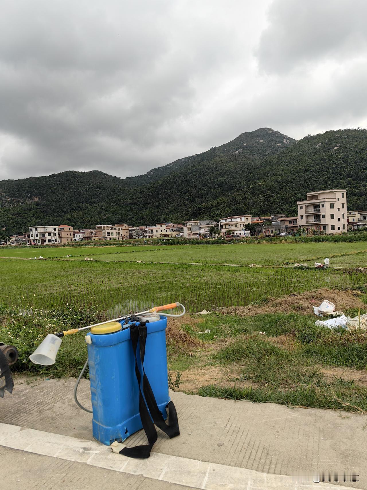 早上走出巷子，刚好遇见一男子背着农药箱子去杀虫，虽然我不认识他，但还是礼貌地跟他