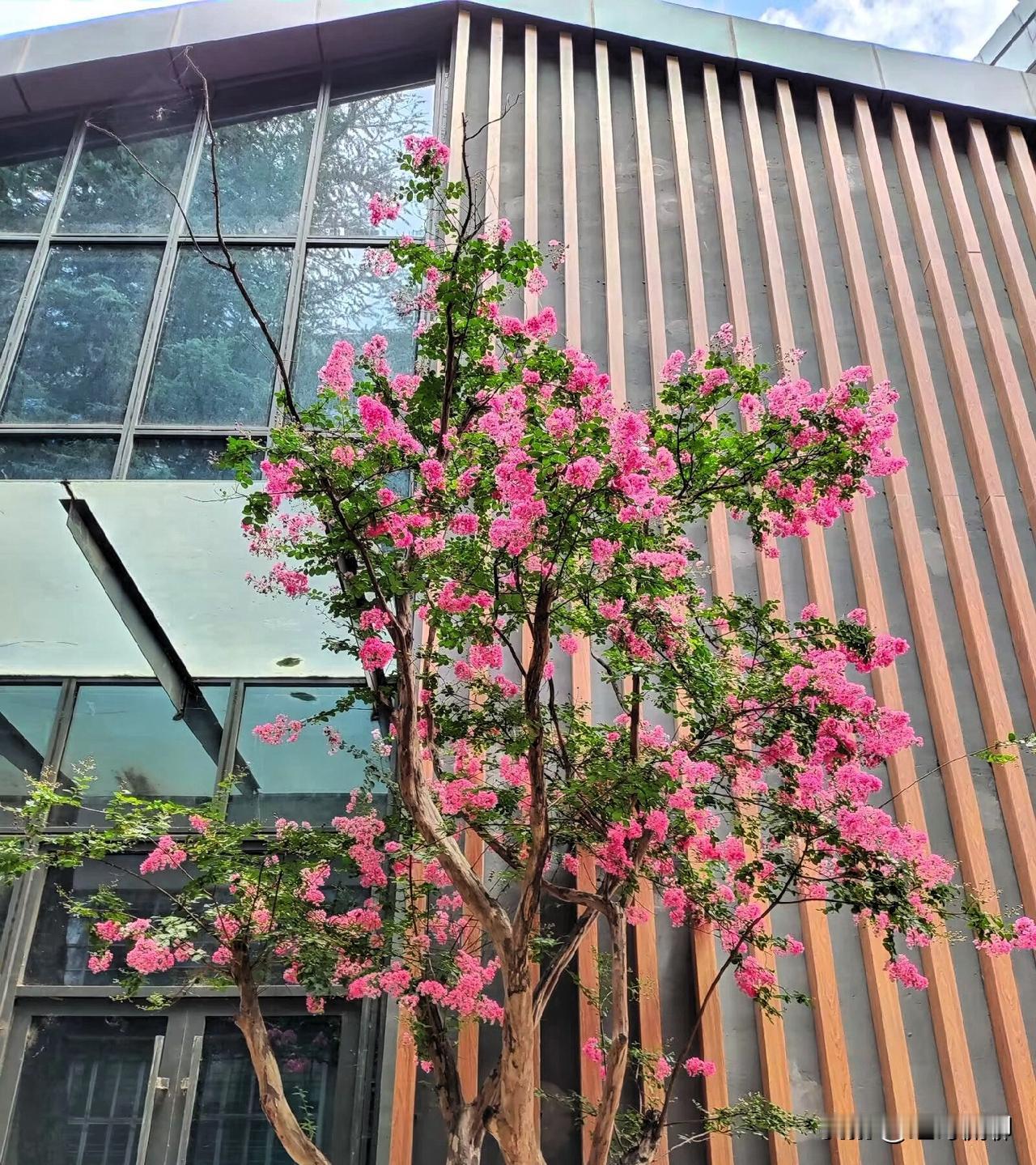 合阳是陕西省渭南市辖县，古称“有莘国”，是中华民族的发祥地之一 。以下是其文化历